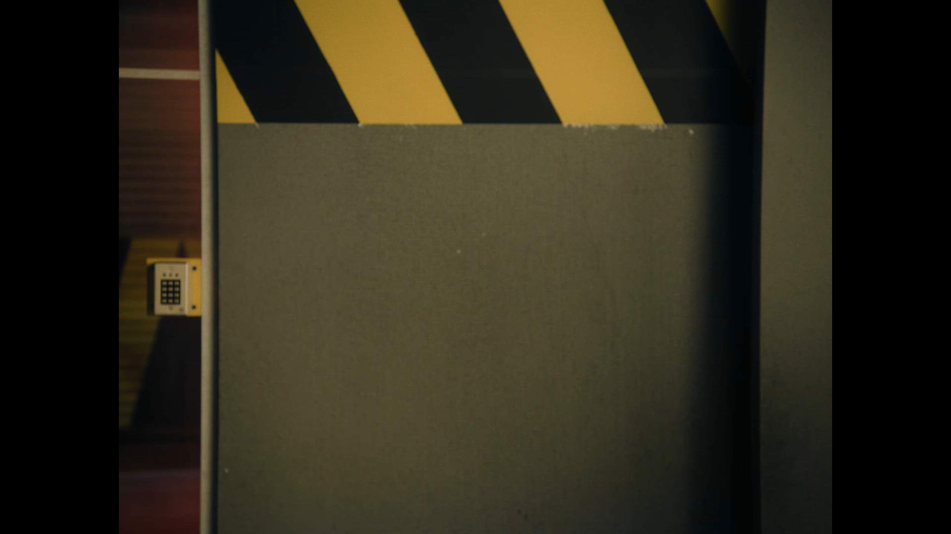 Execution Video