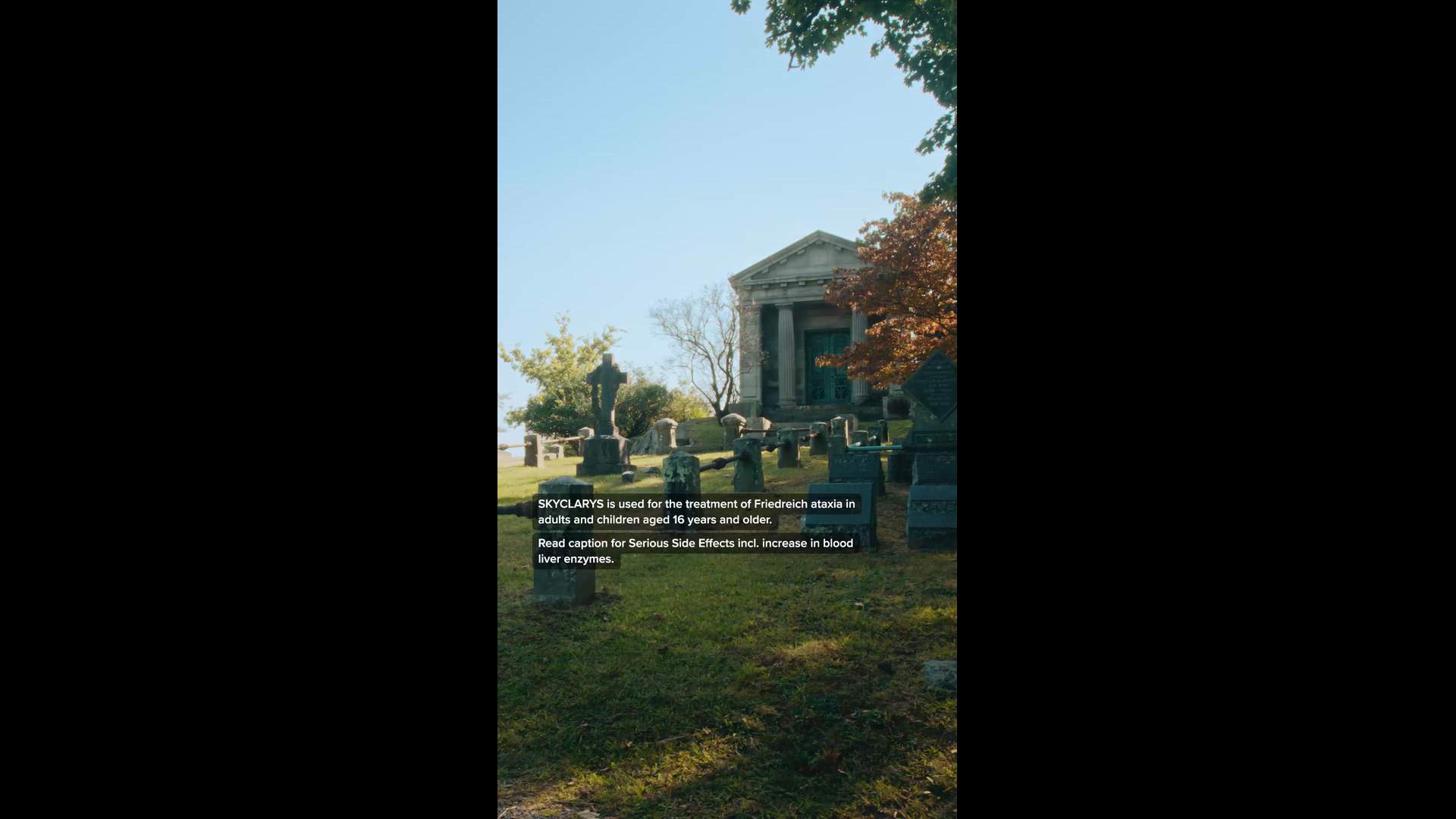 Execution Video