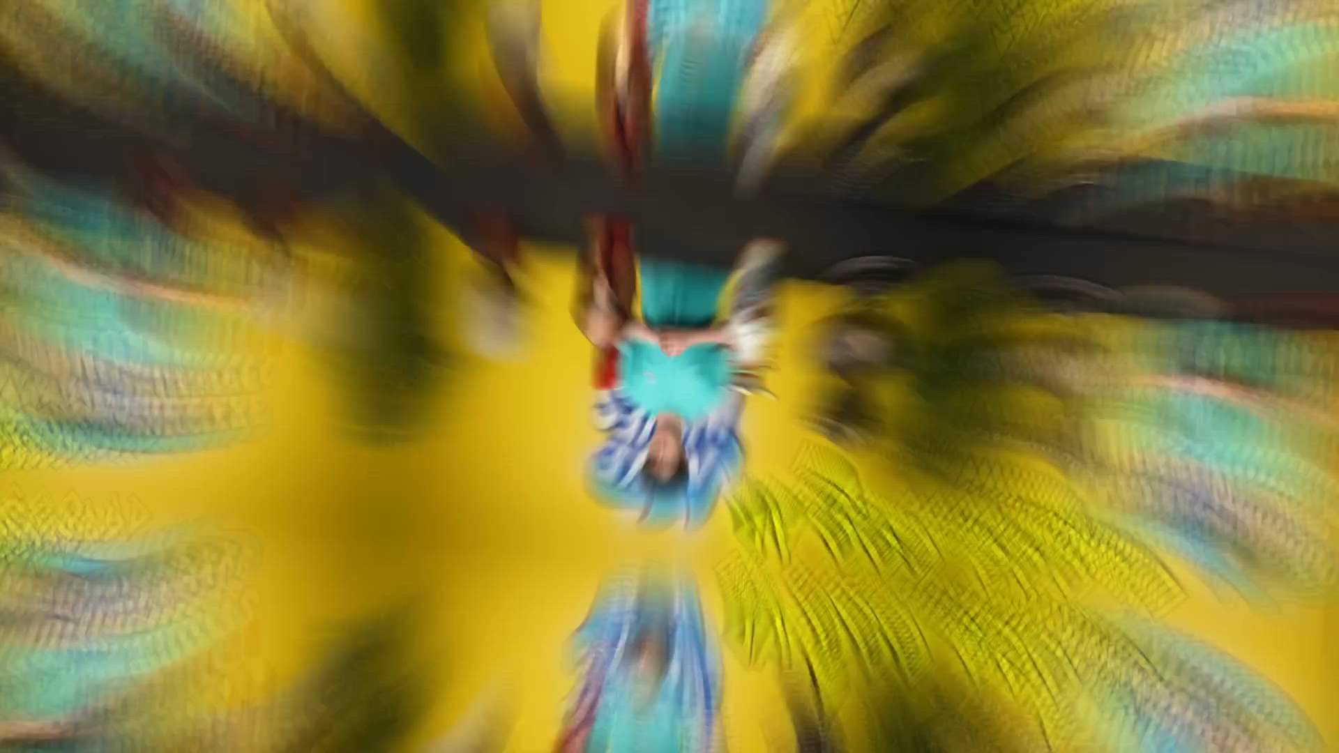 Execution Video
