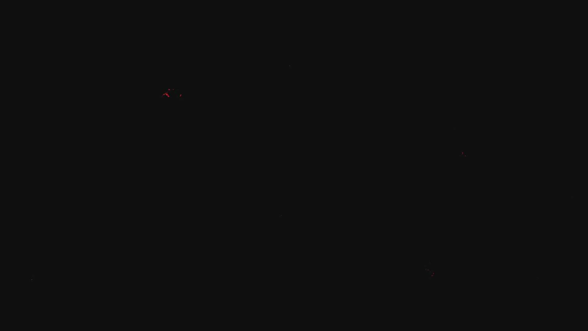 Execution Video