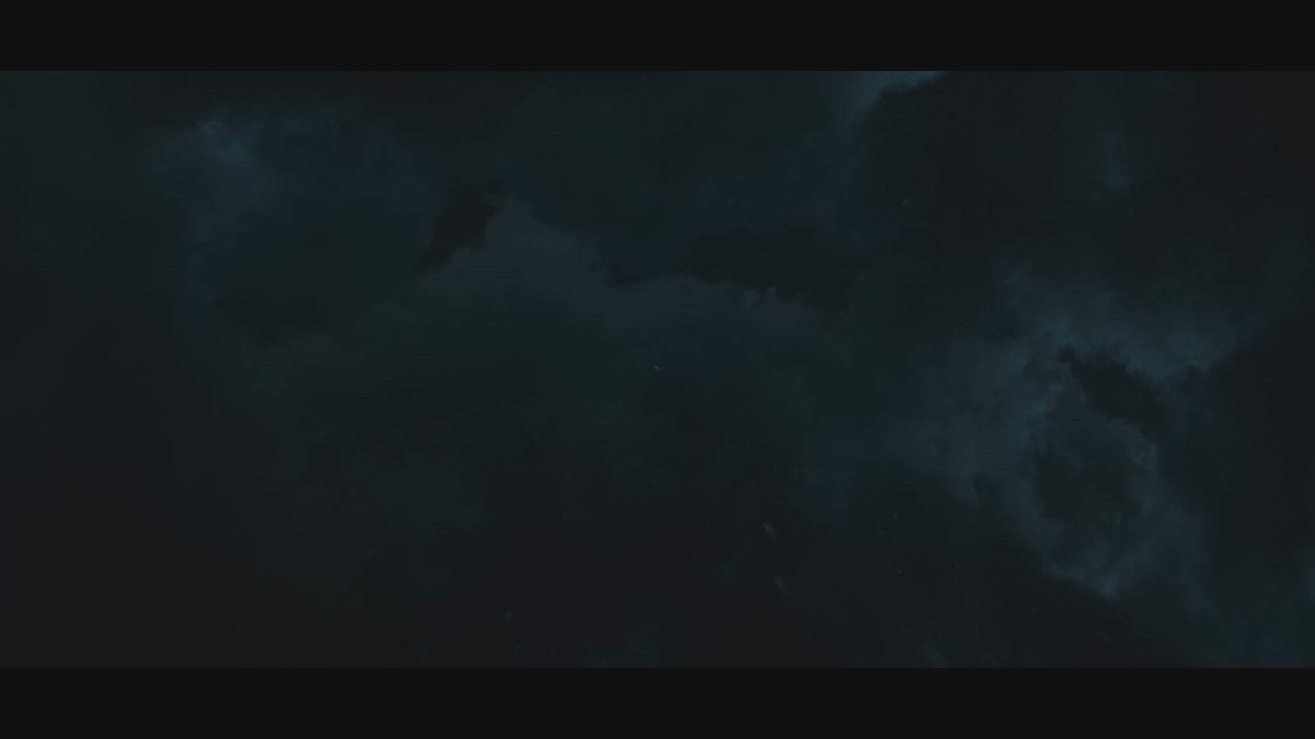 Execution Video