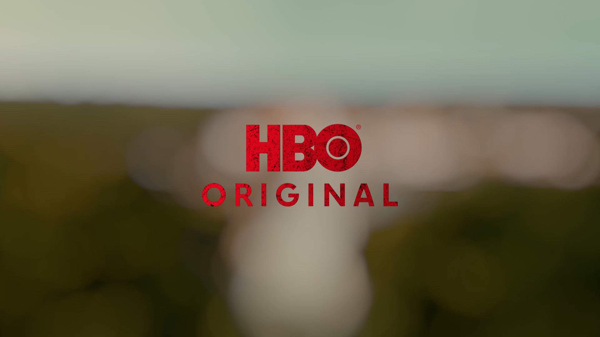 Execution Video