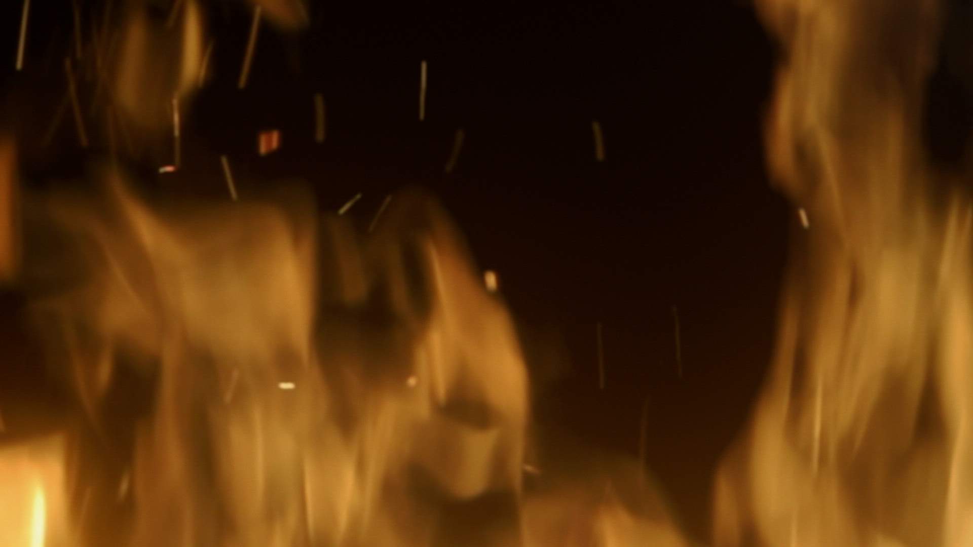 Execution Video