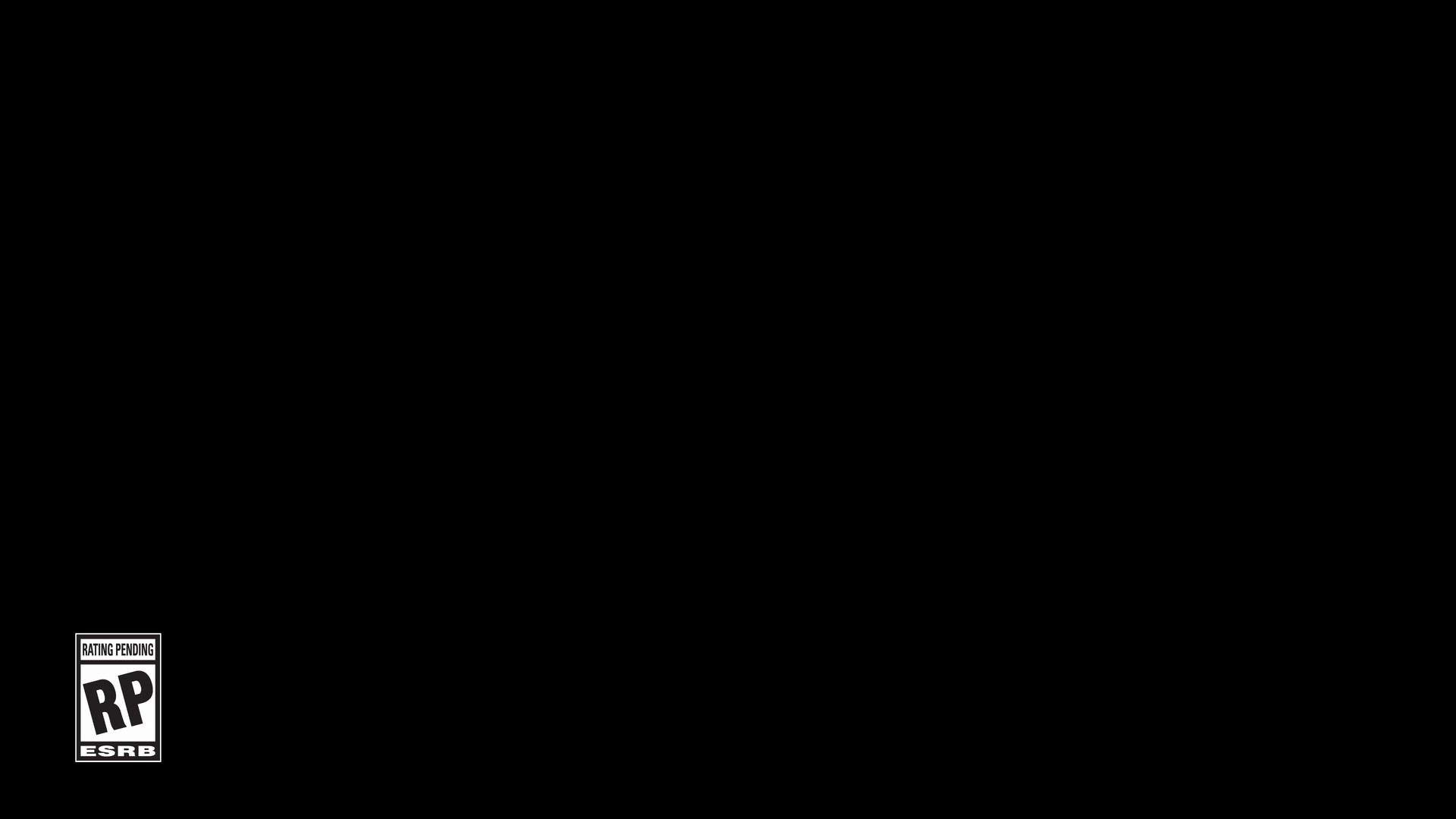 Execution Video