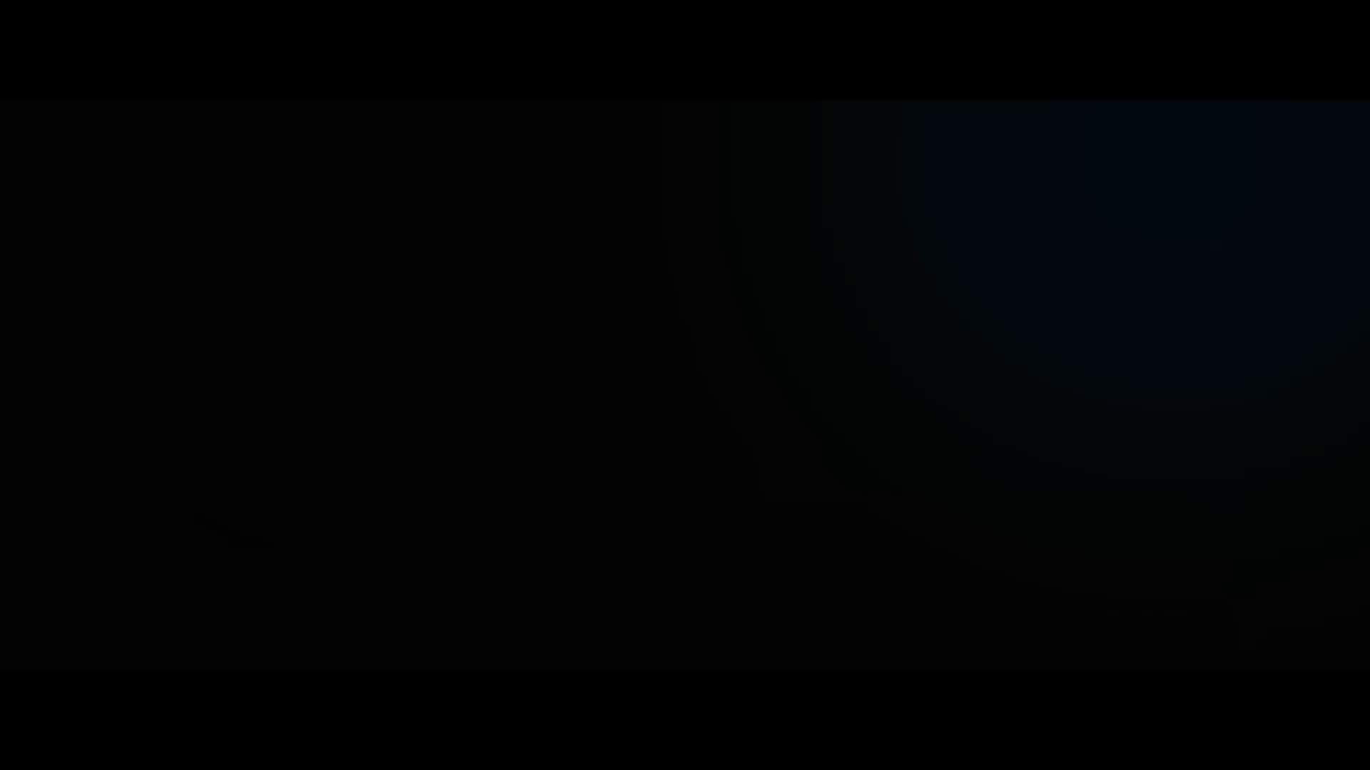 Execution Video