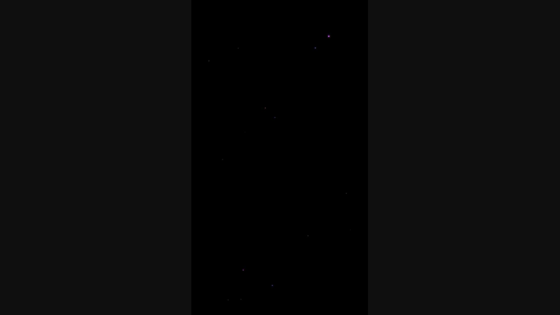 Execution Video