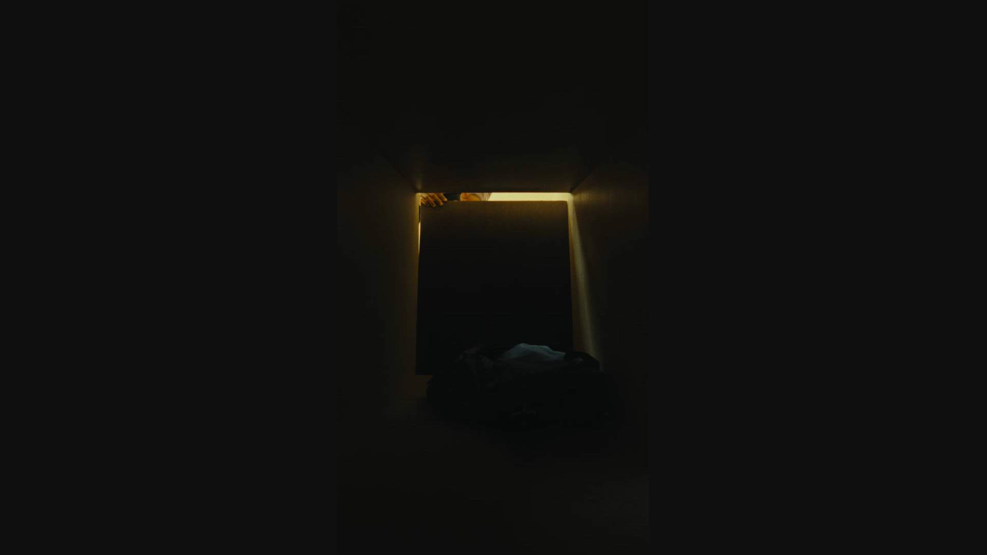 Execution Video