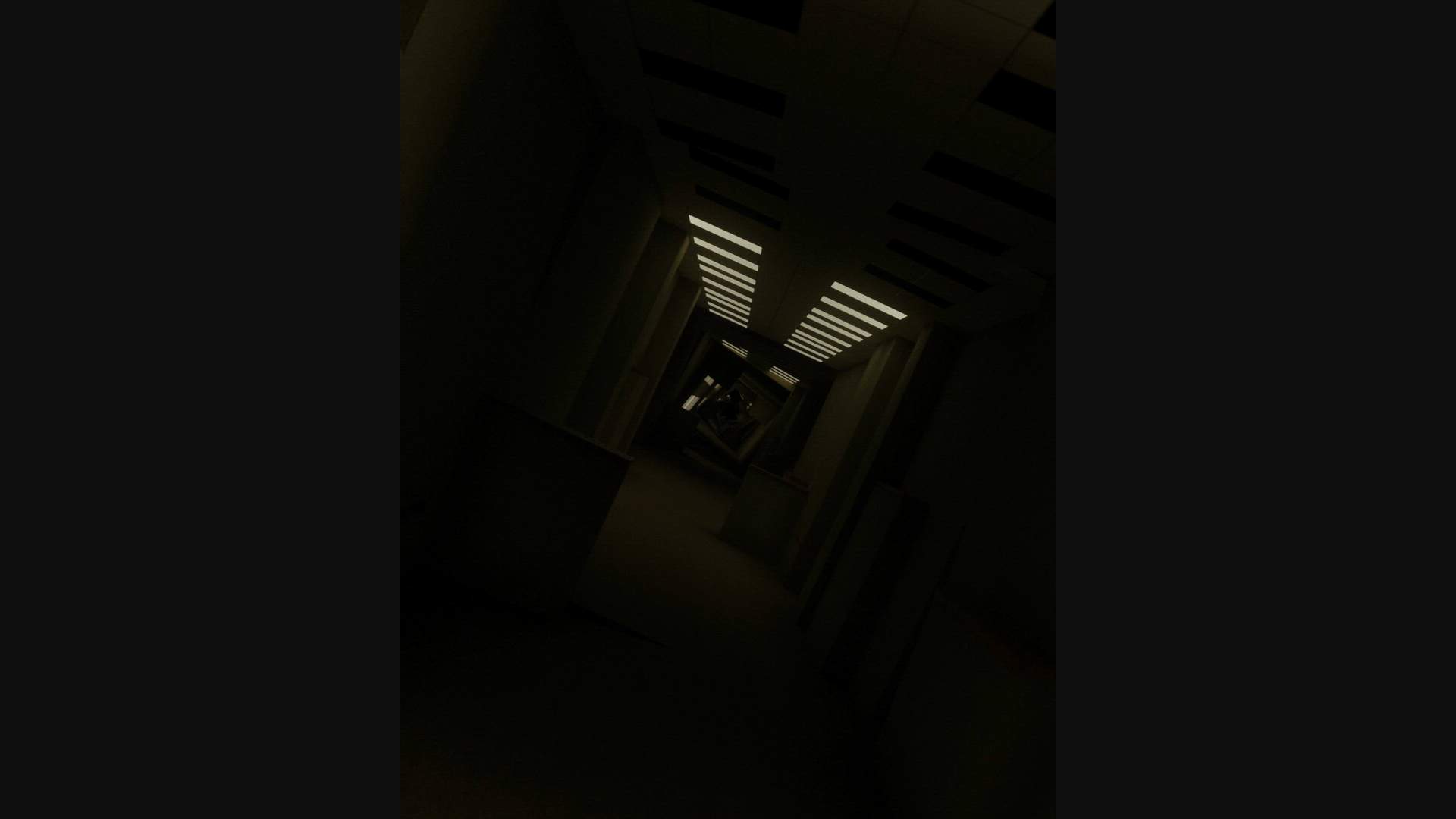 Execution Video