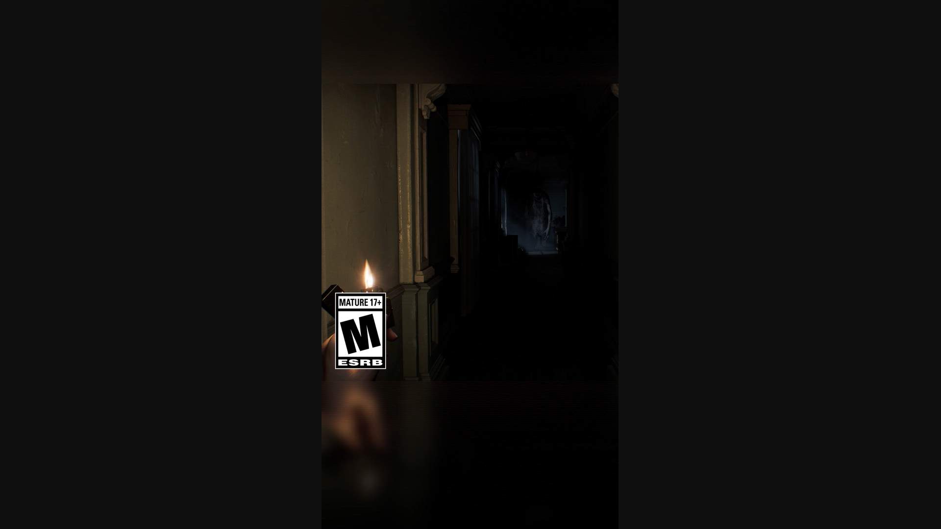 Execution Video