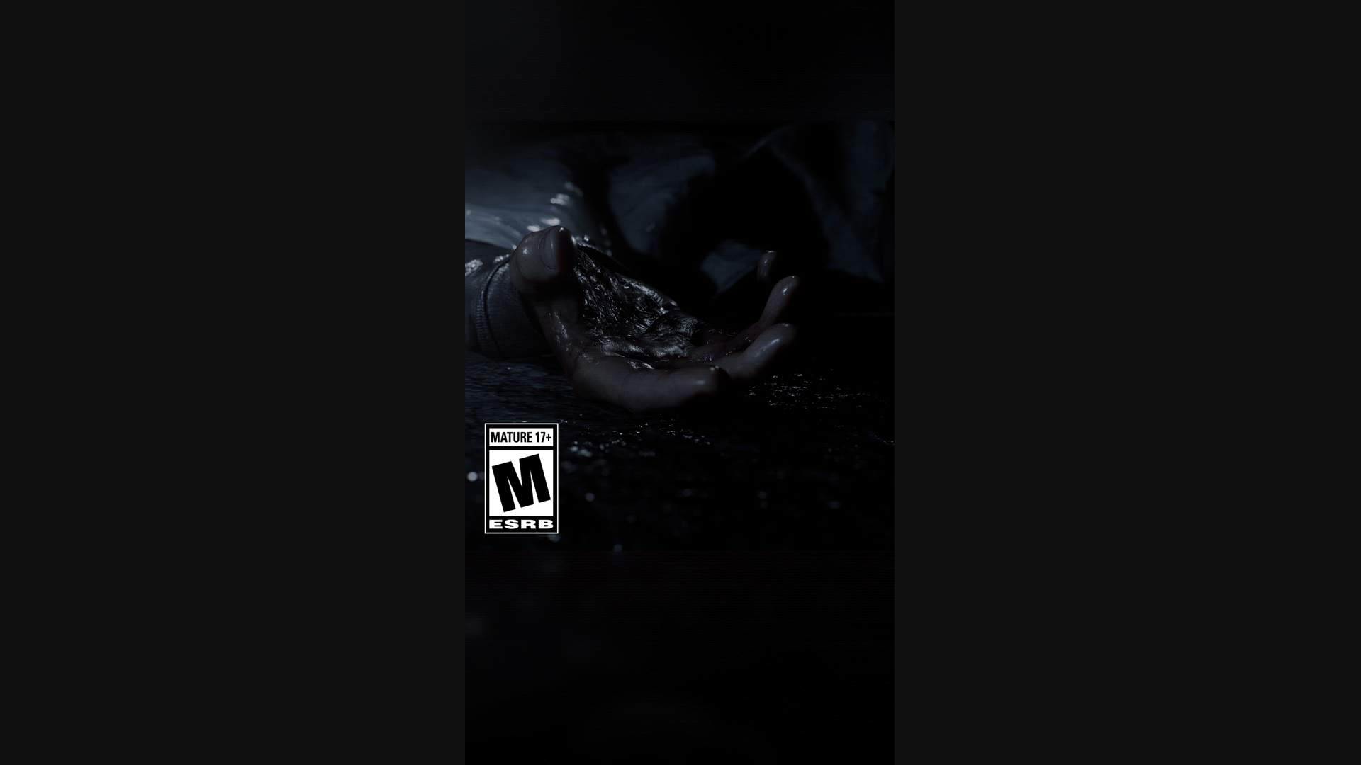 Execution Video