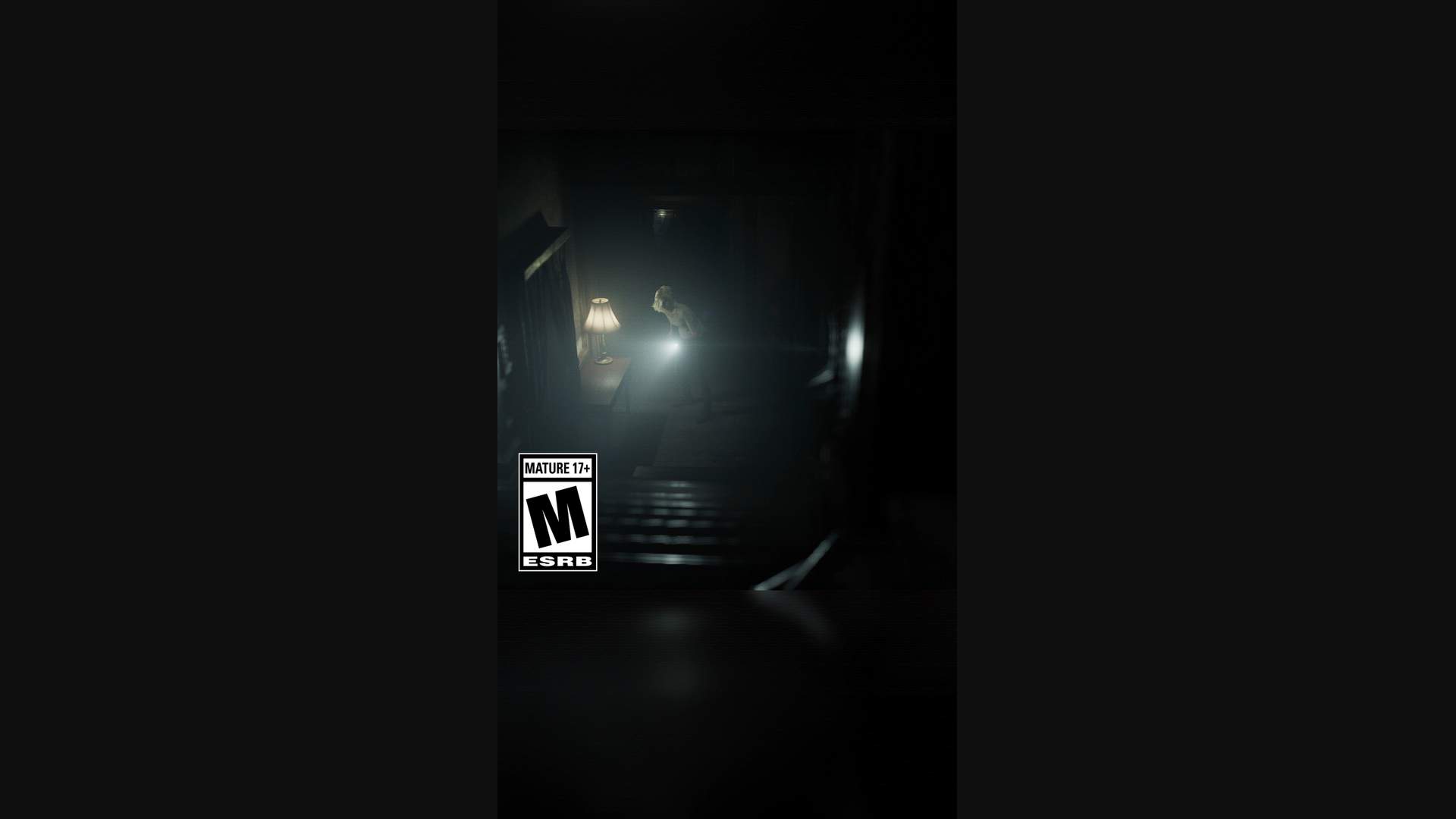 Execution Video