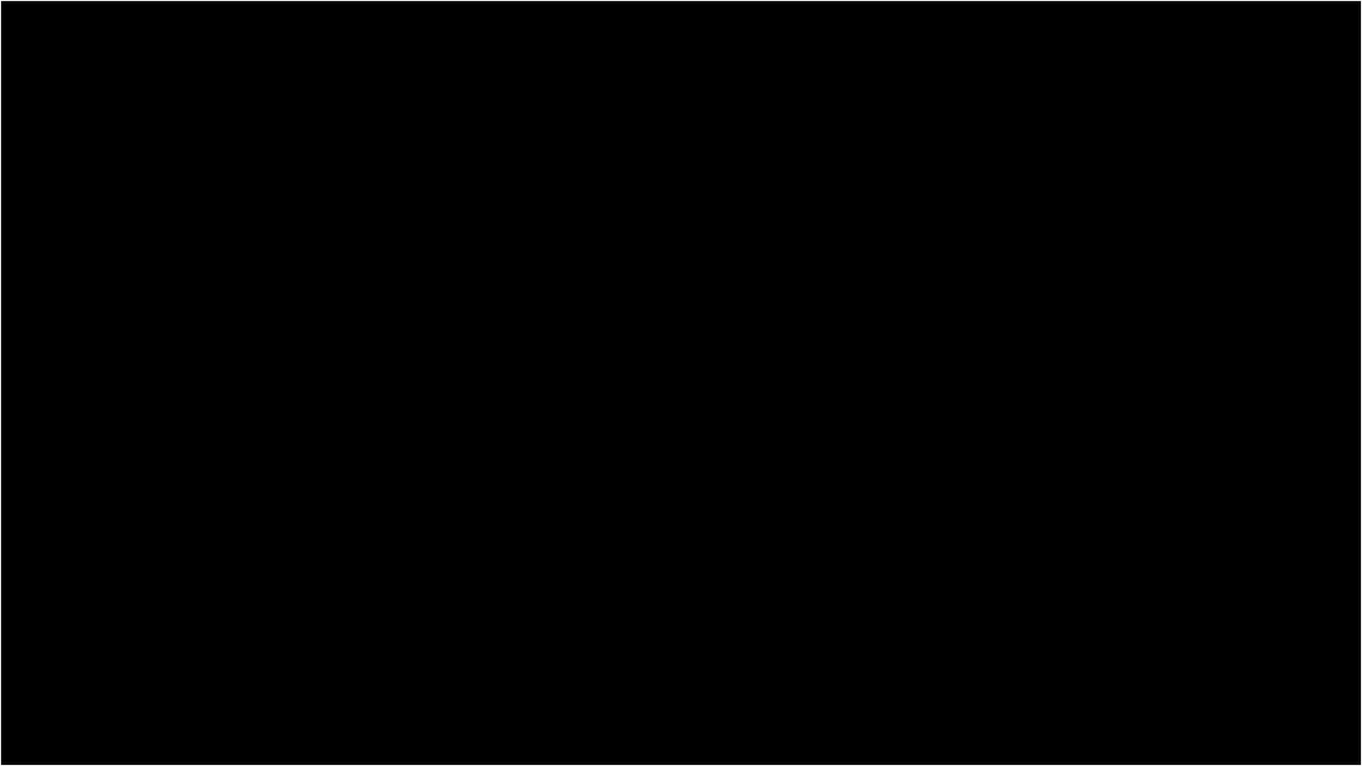Execution Video
