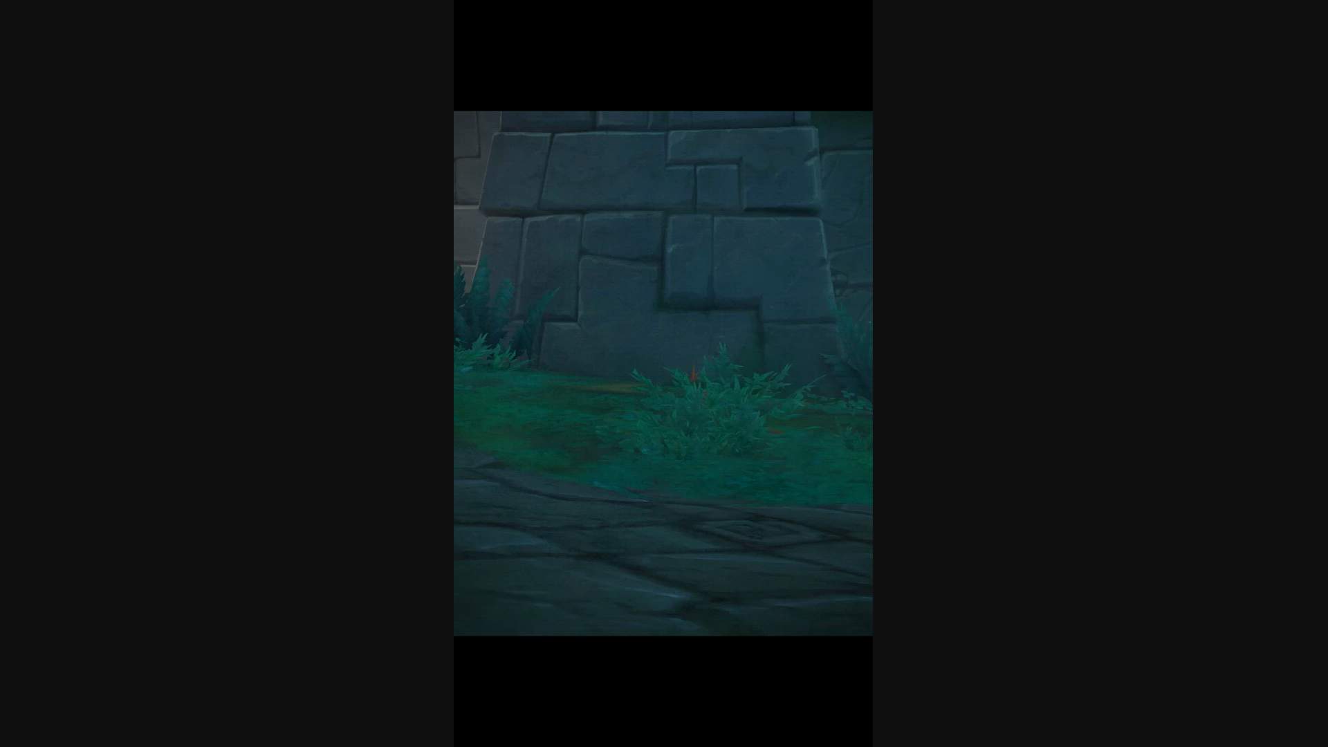 Execution Video