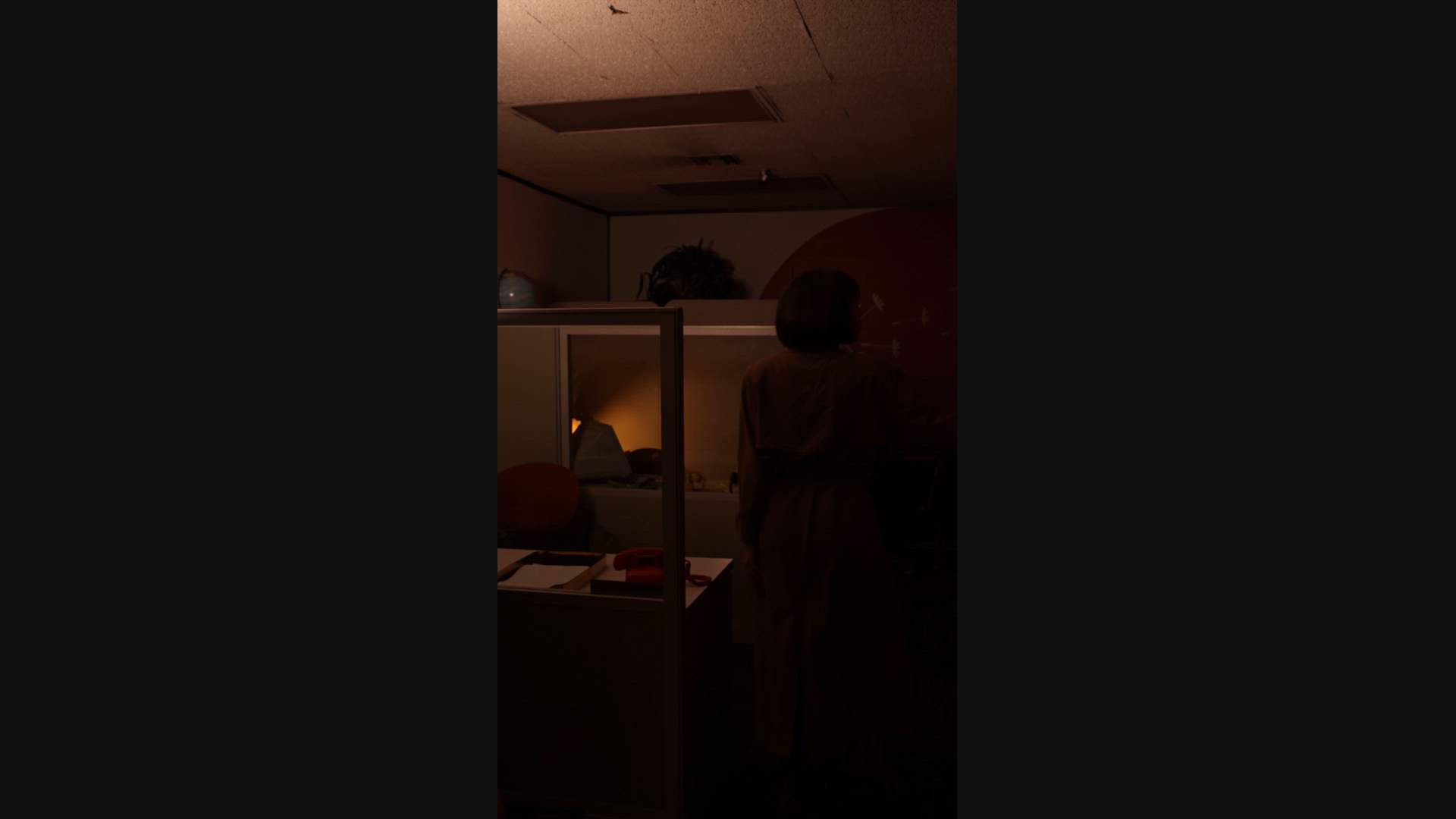 Execution Video