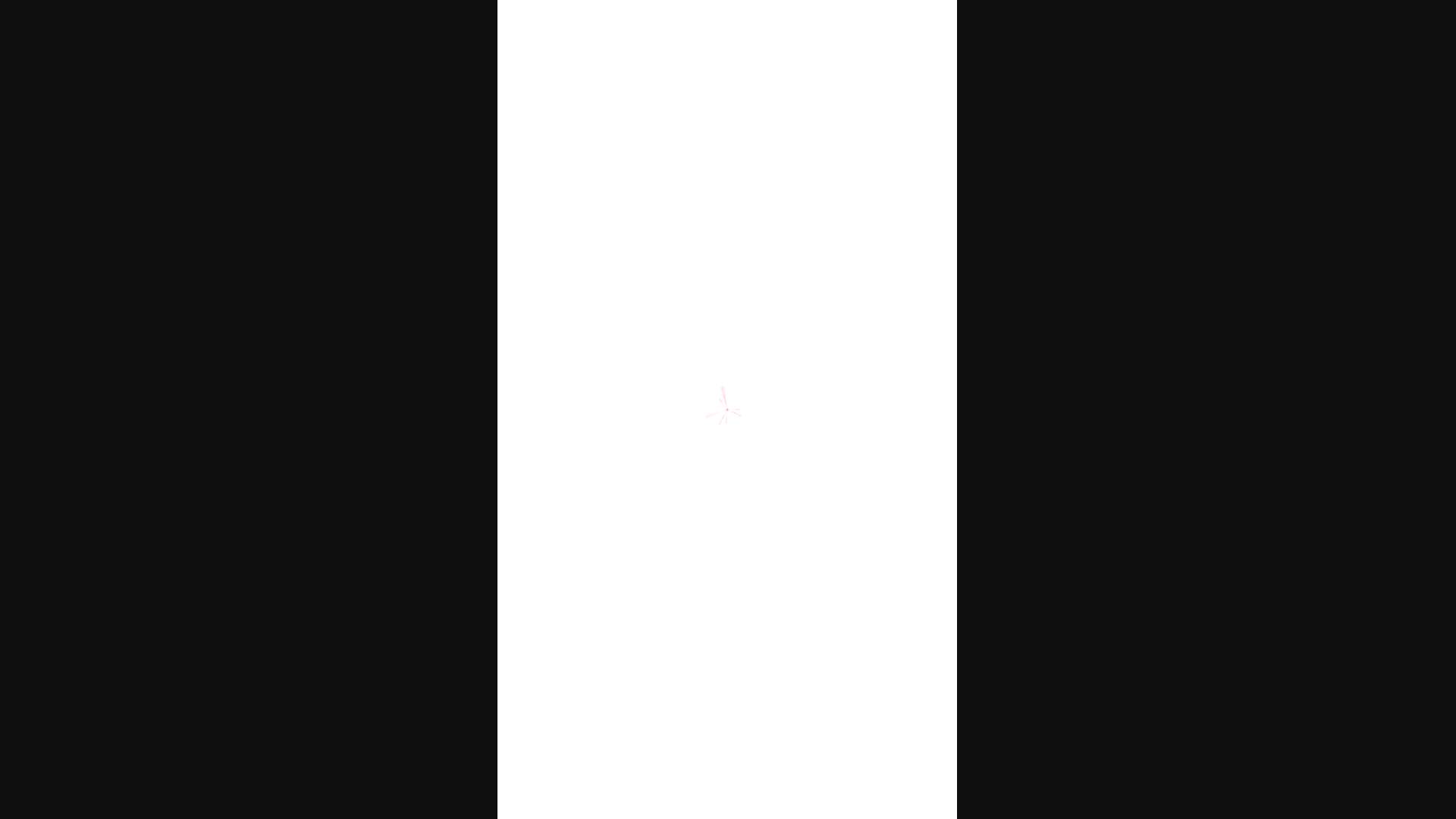Execution Video