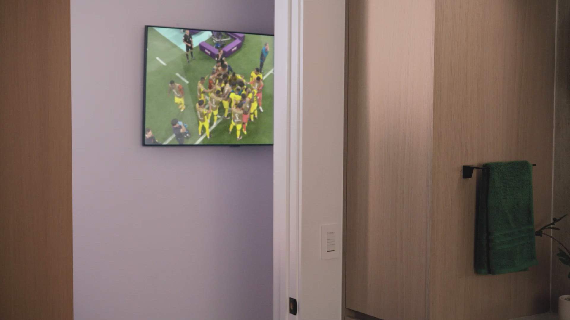 Execution Video