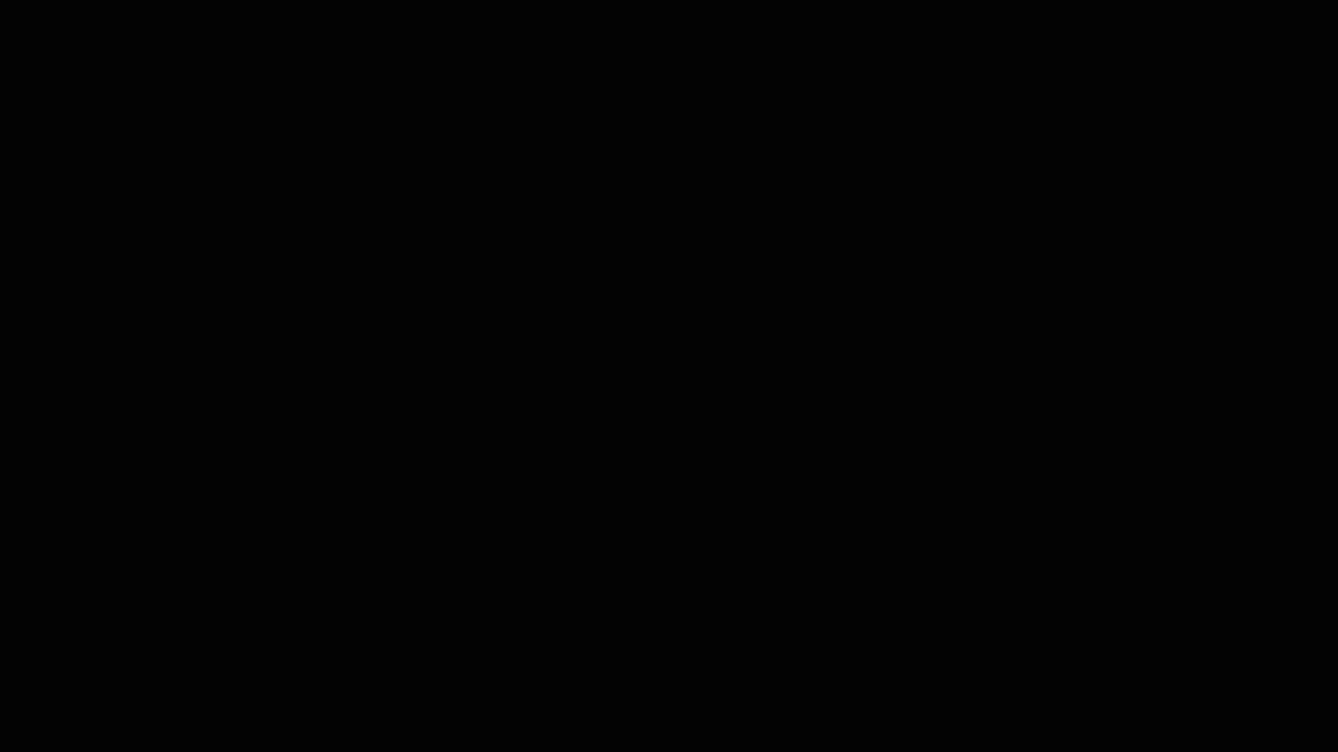 Execution Video
