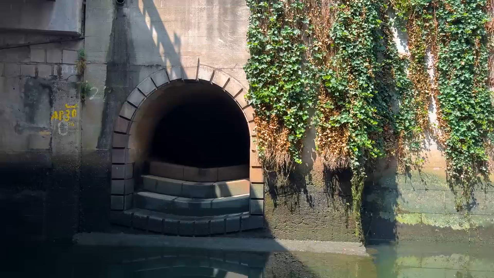 Execution Video
