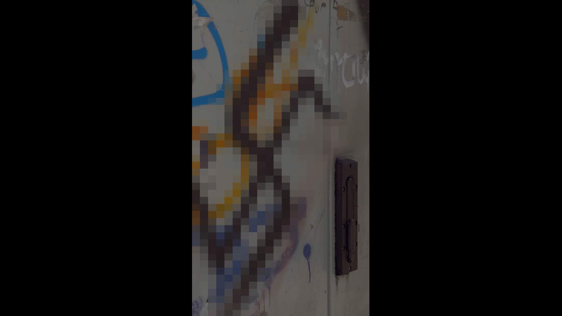 Execution Video