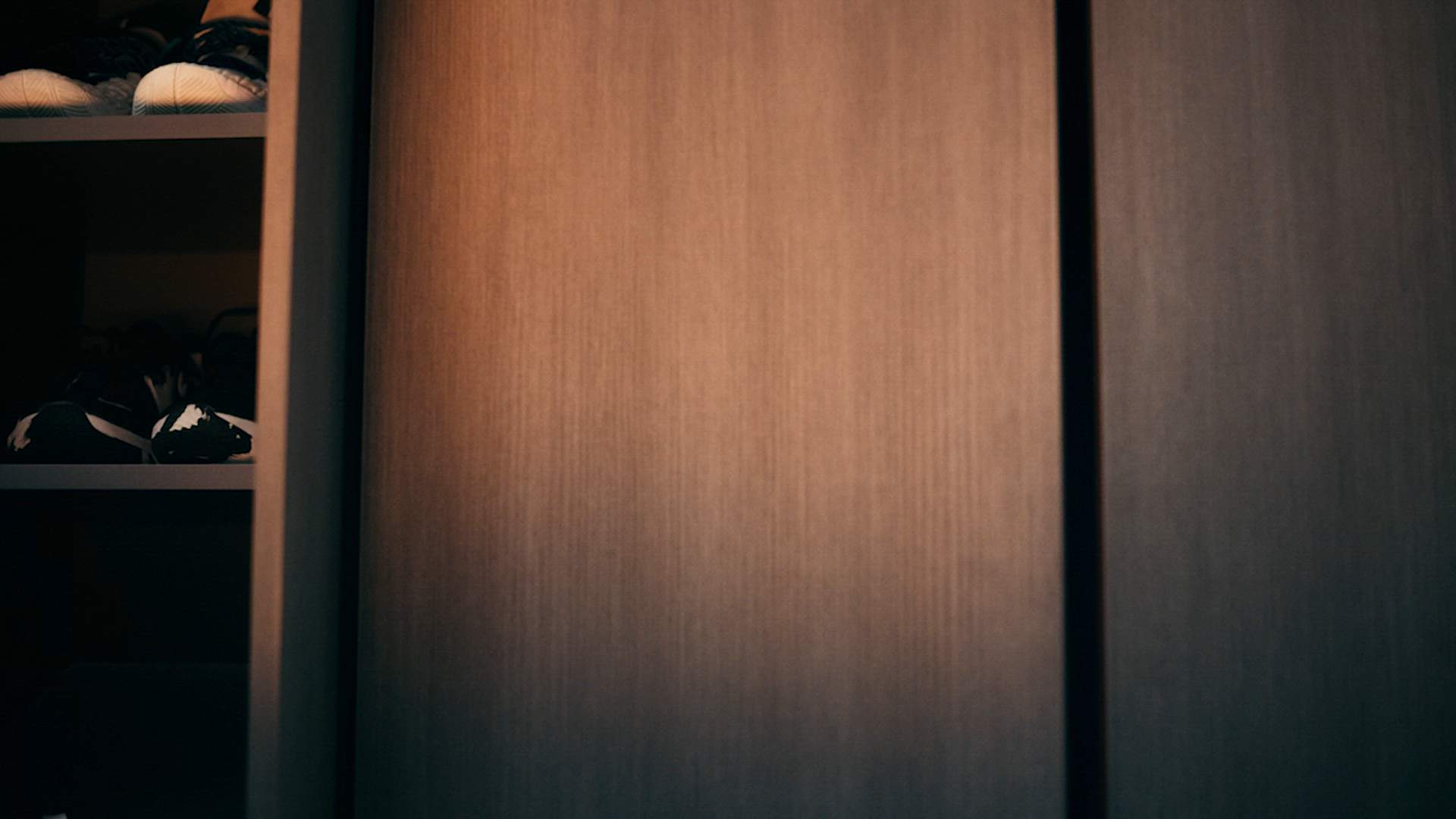 Execution Video