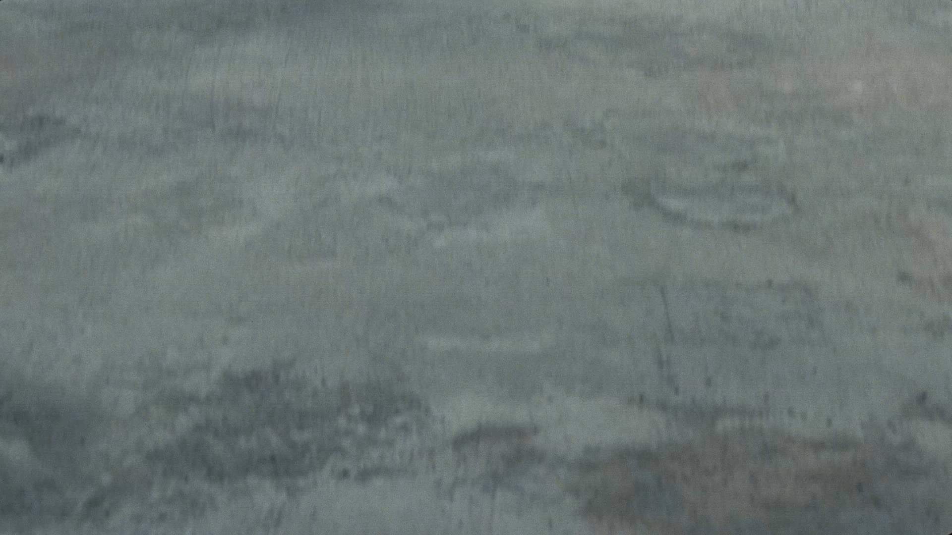 Execution Video
