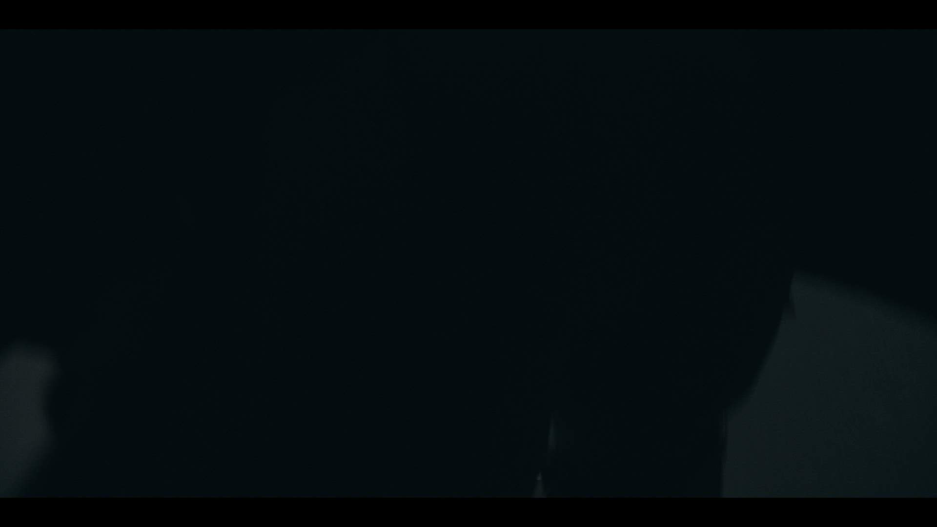 Execution Video