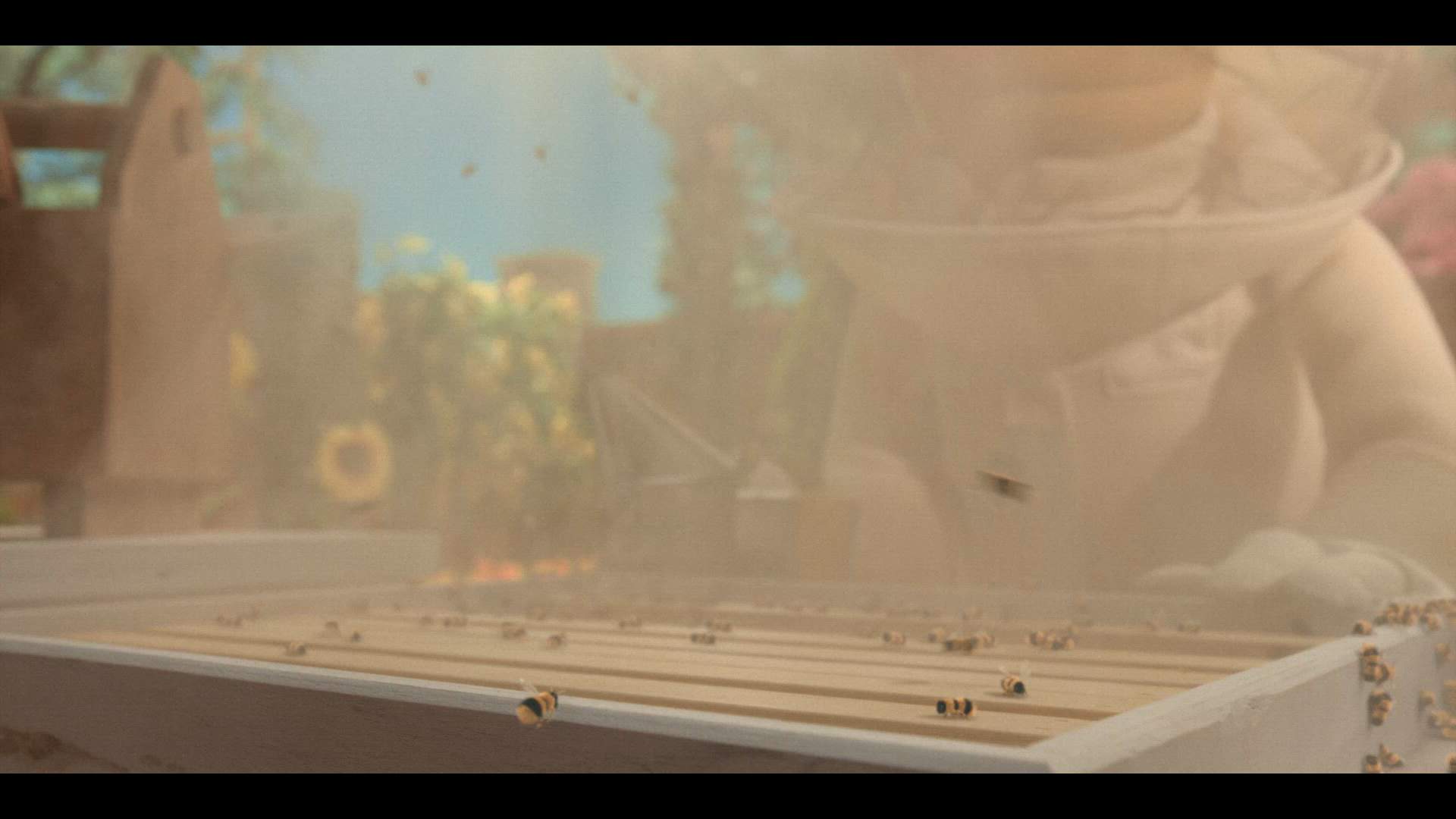 Execution Video