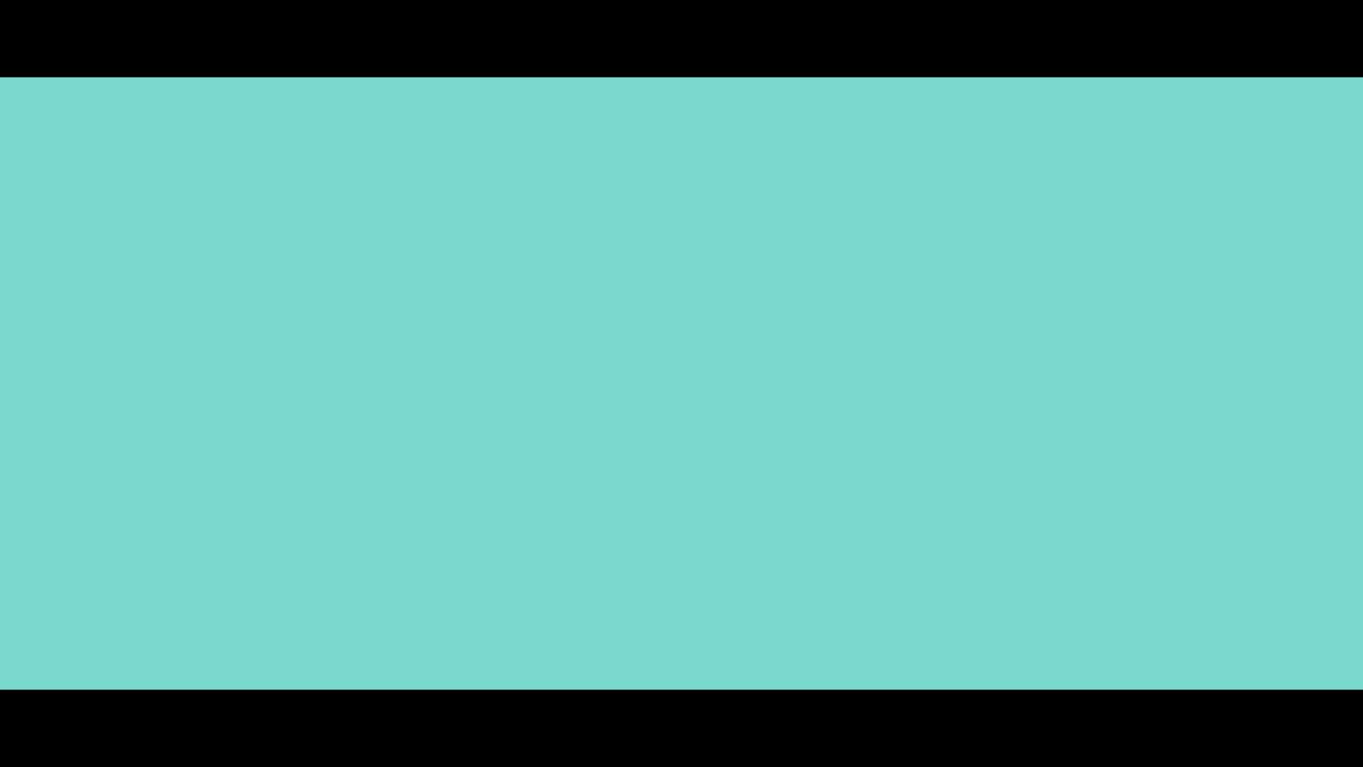 Case Study Video