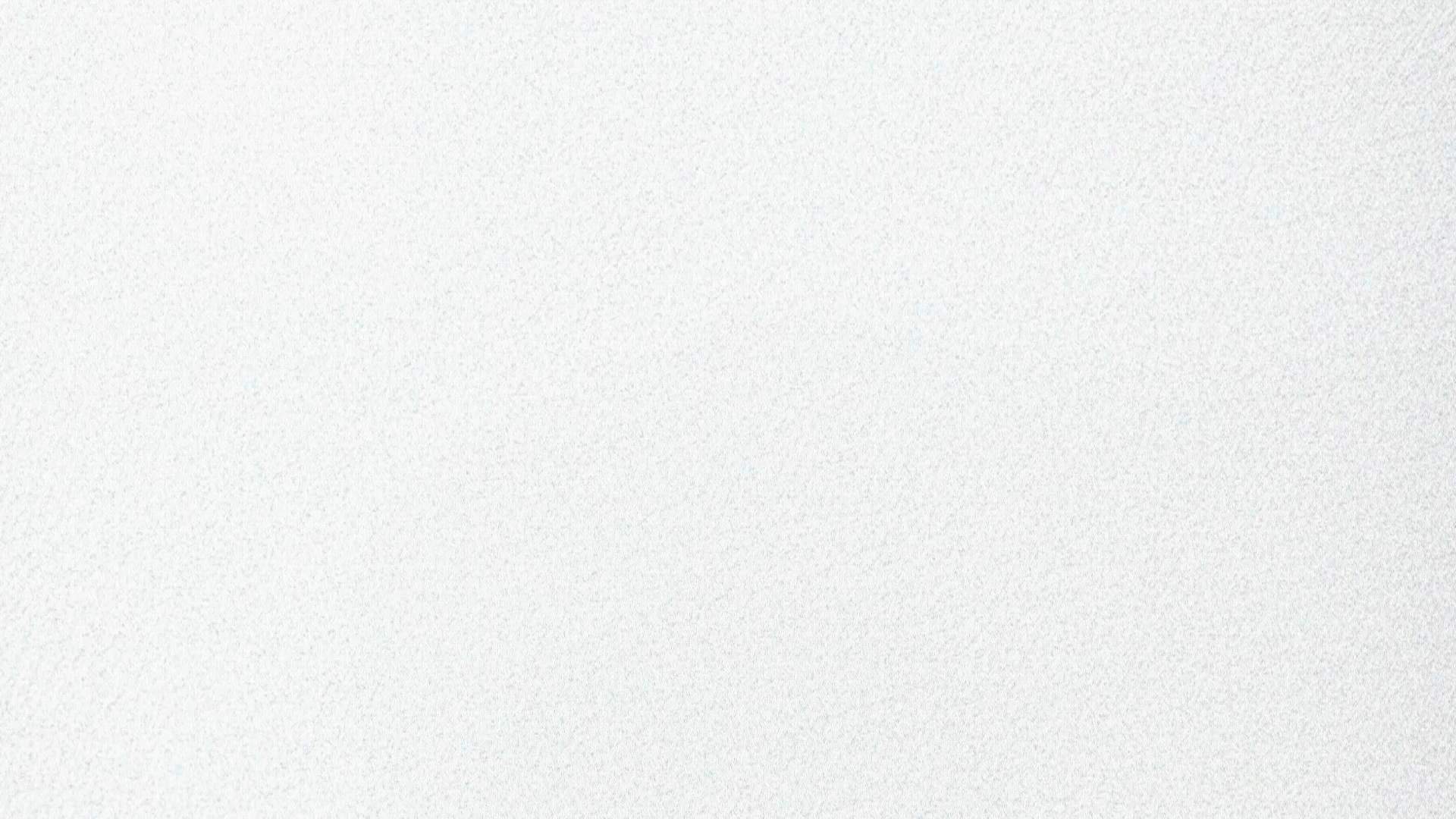 Case Study Video