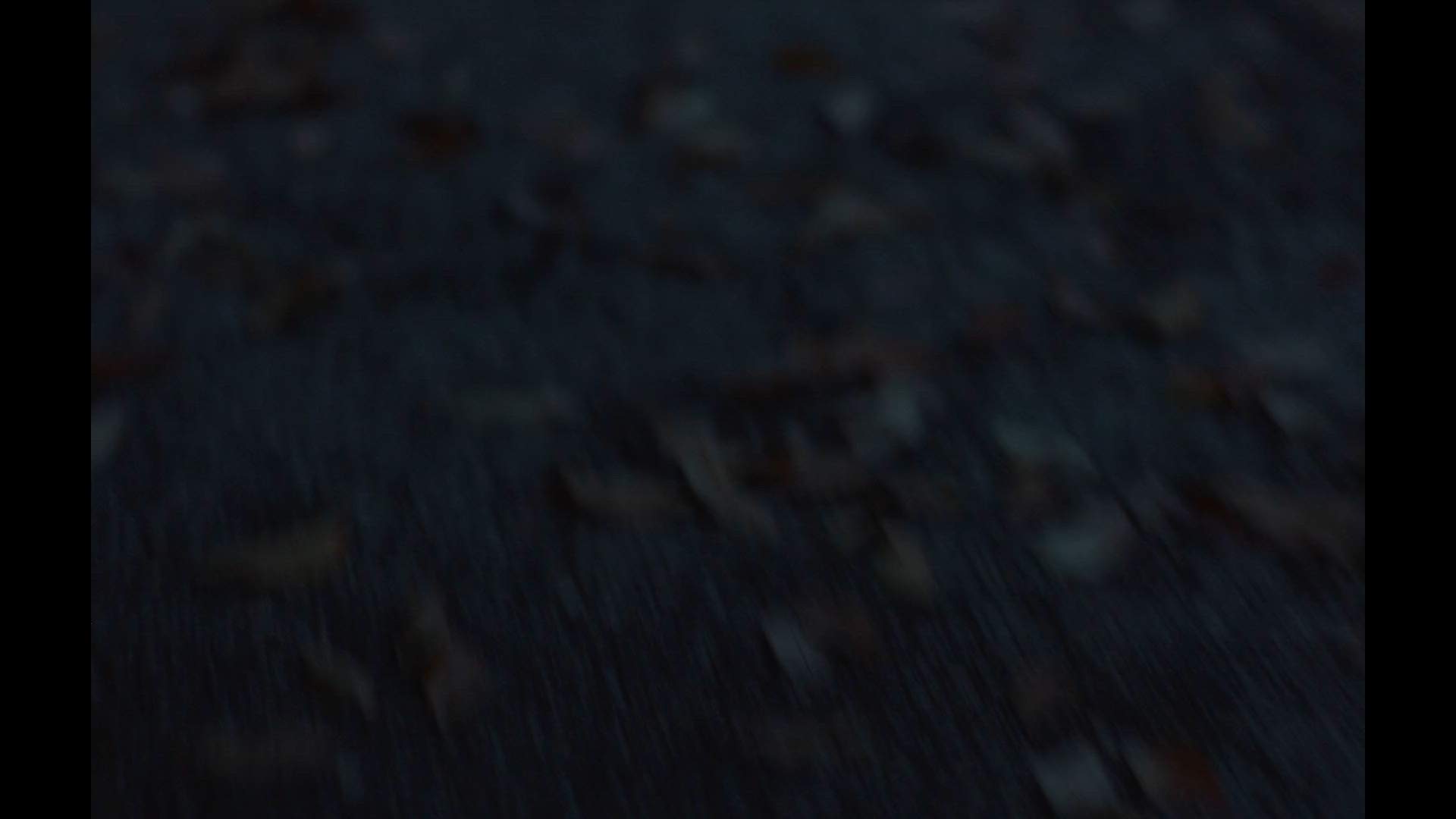 Execution Video