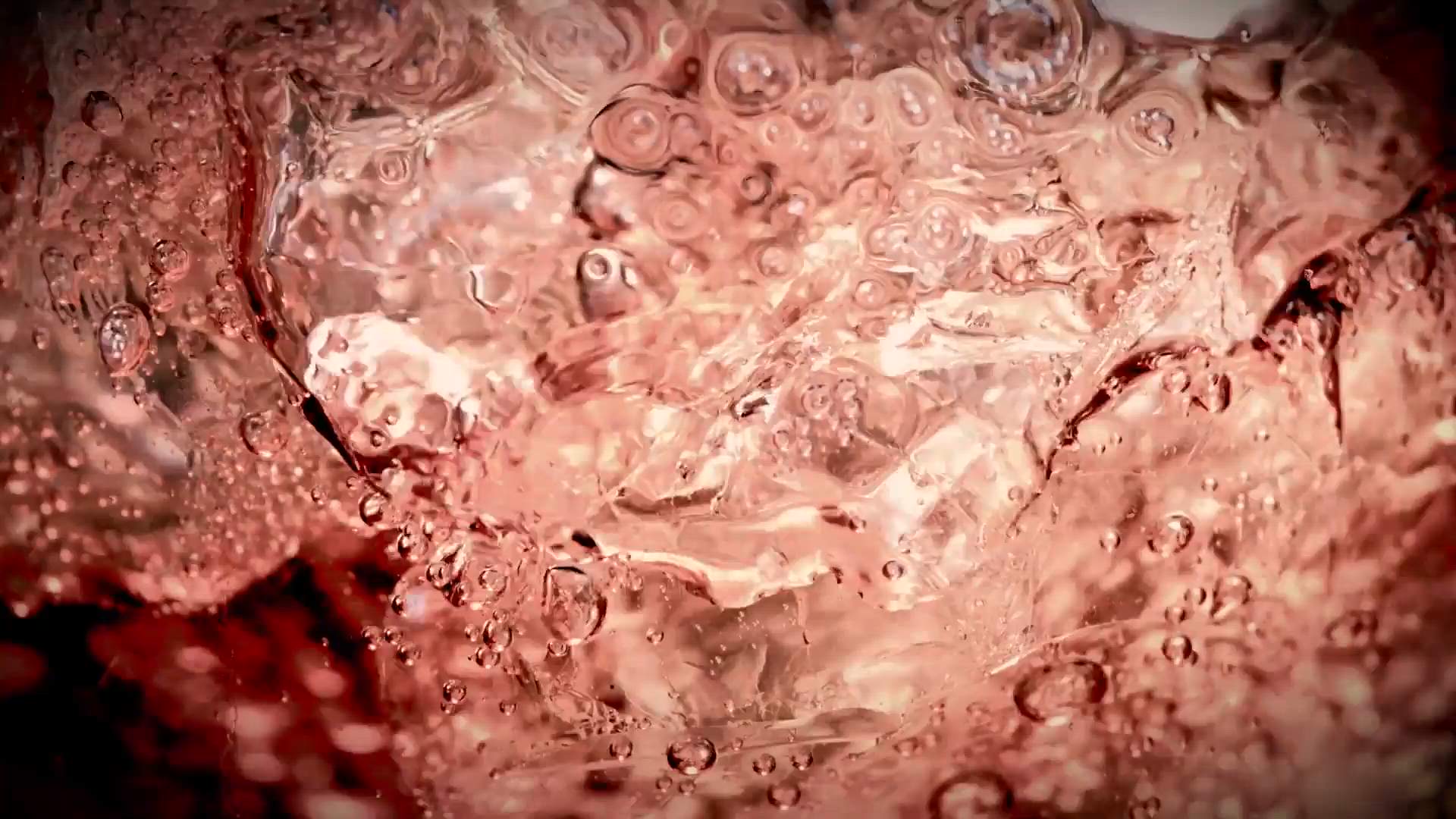 Case Study Video