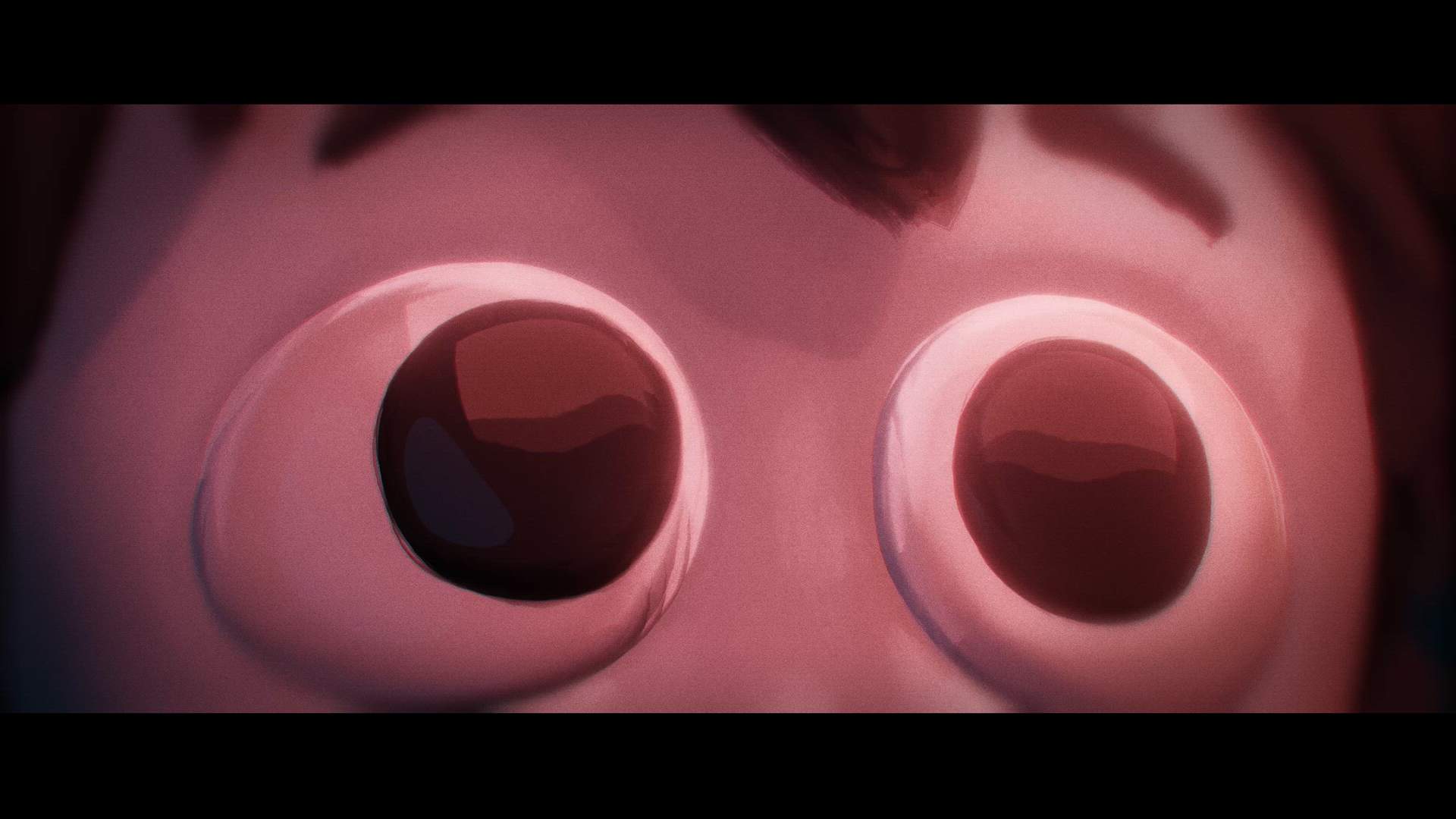 Execution Video