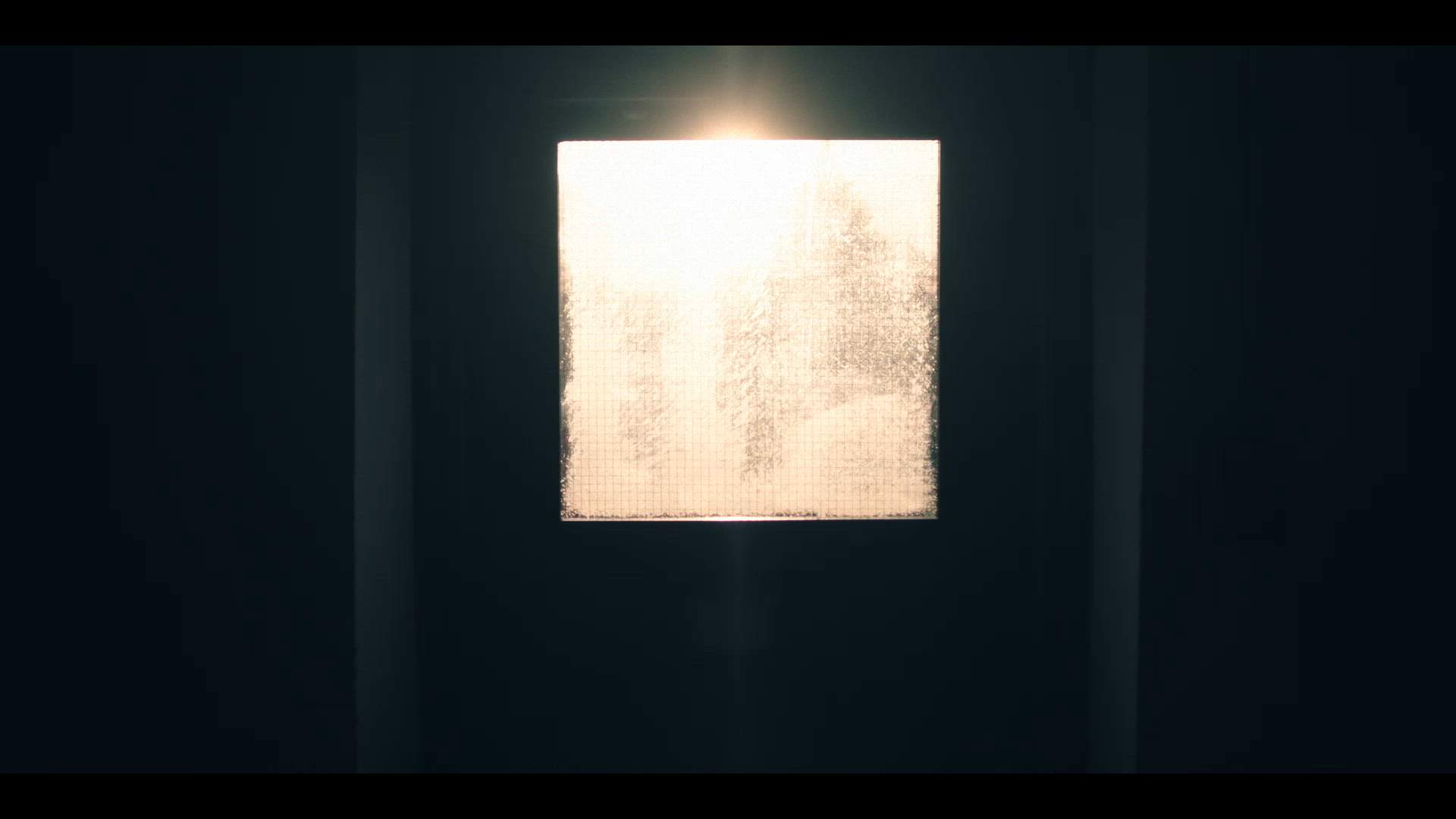 Execution Video