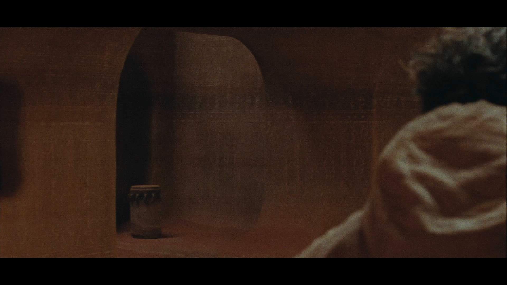 Execution Video