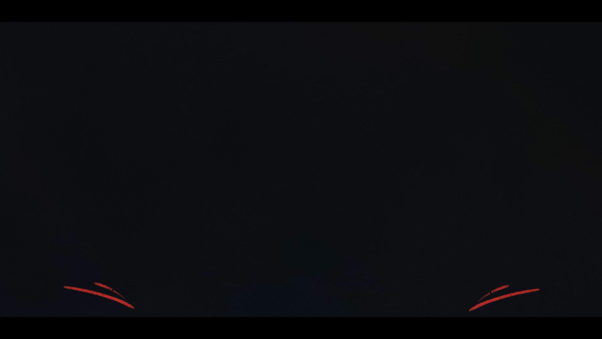 Execution Video