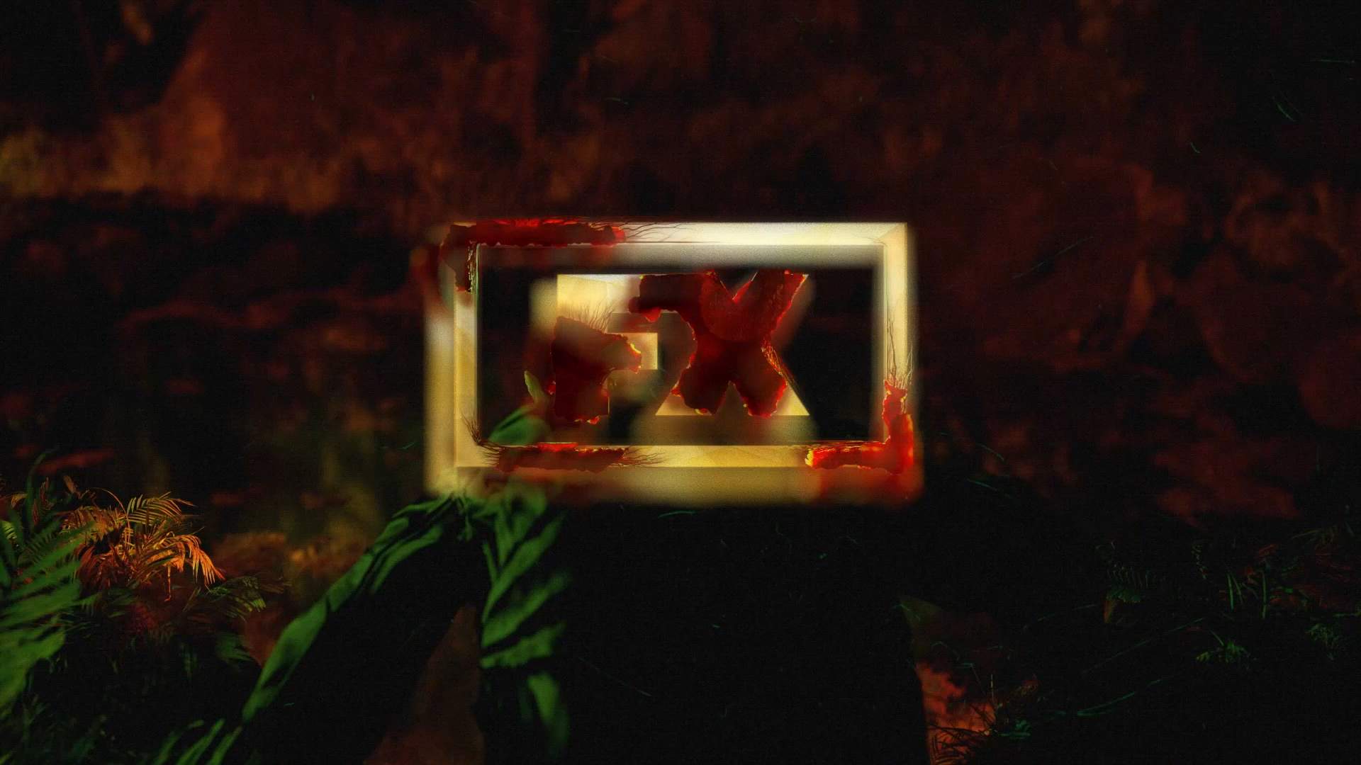 Execution Video