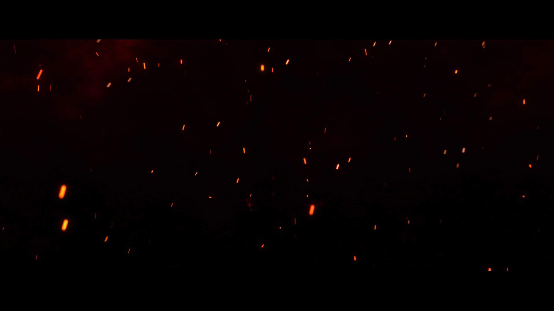 Execution Video
