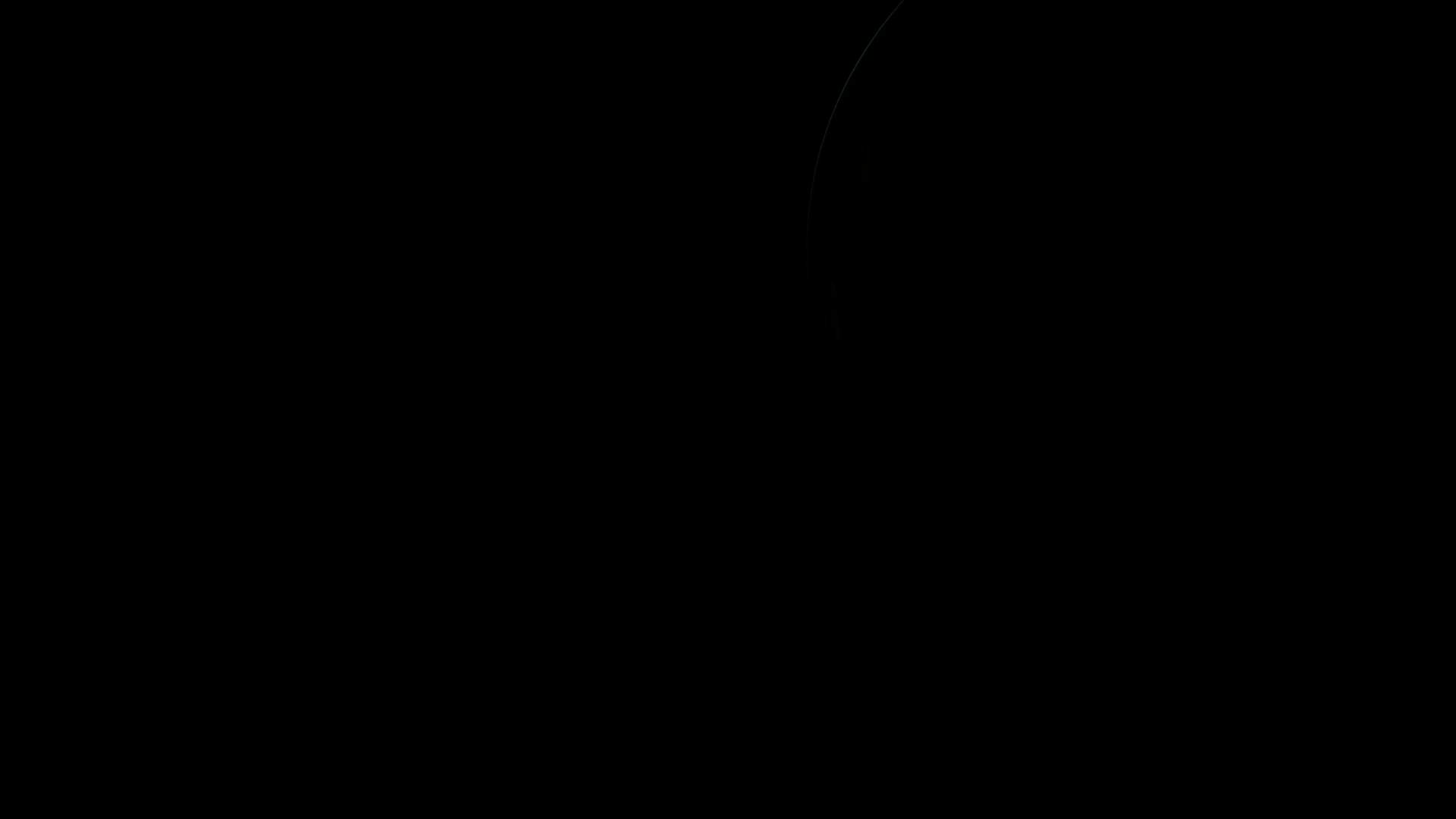 Execution Video