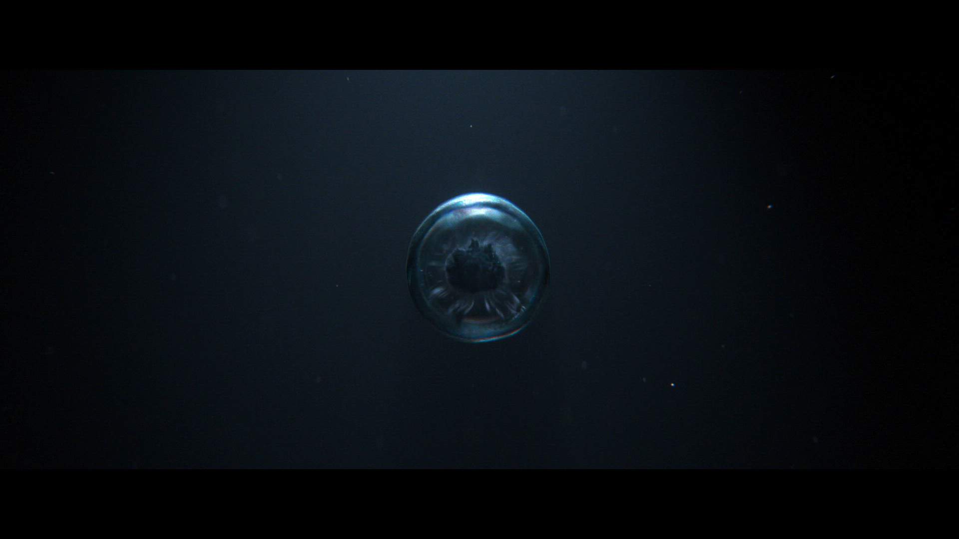 Execution Video