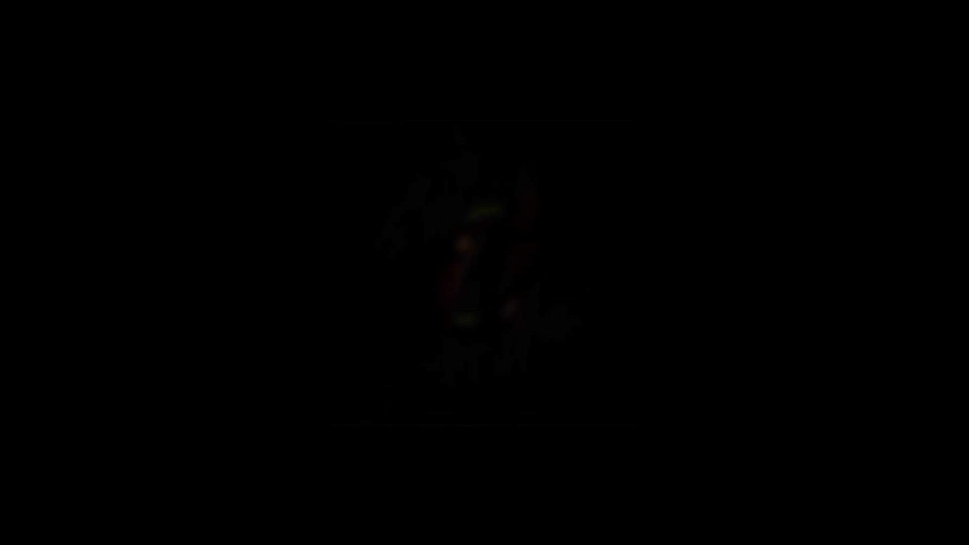 Execution Video