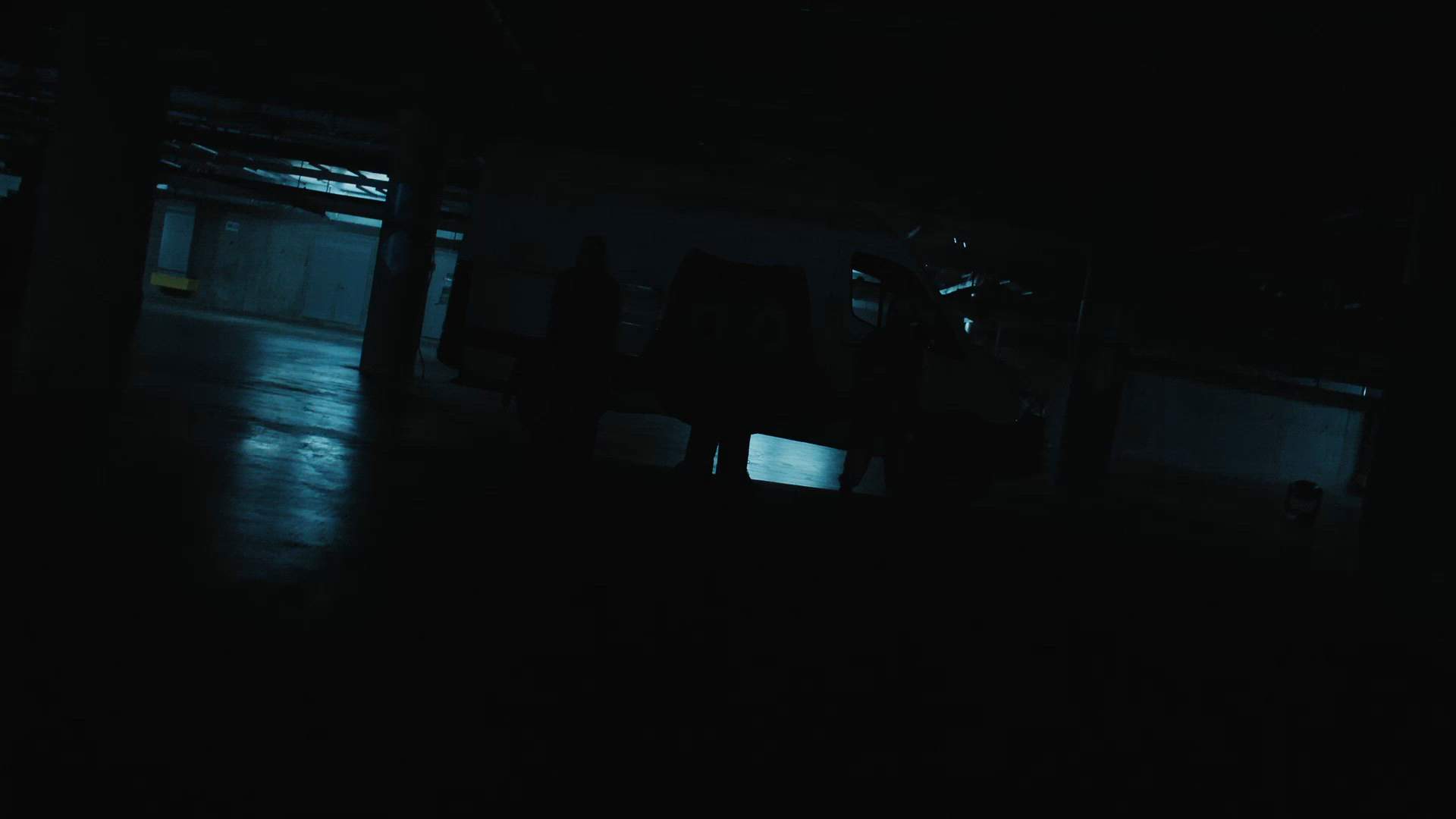 Execution Video