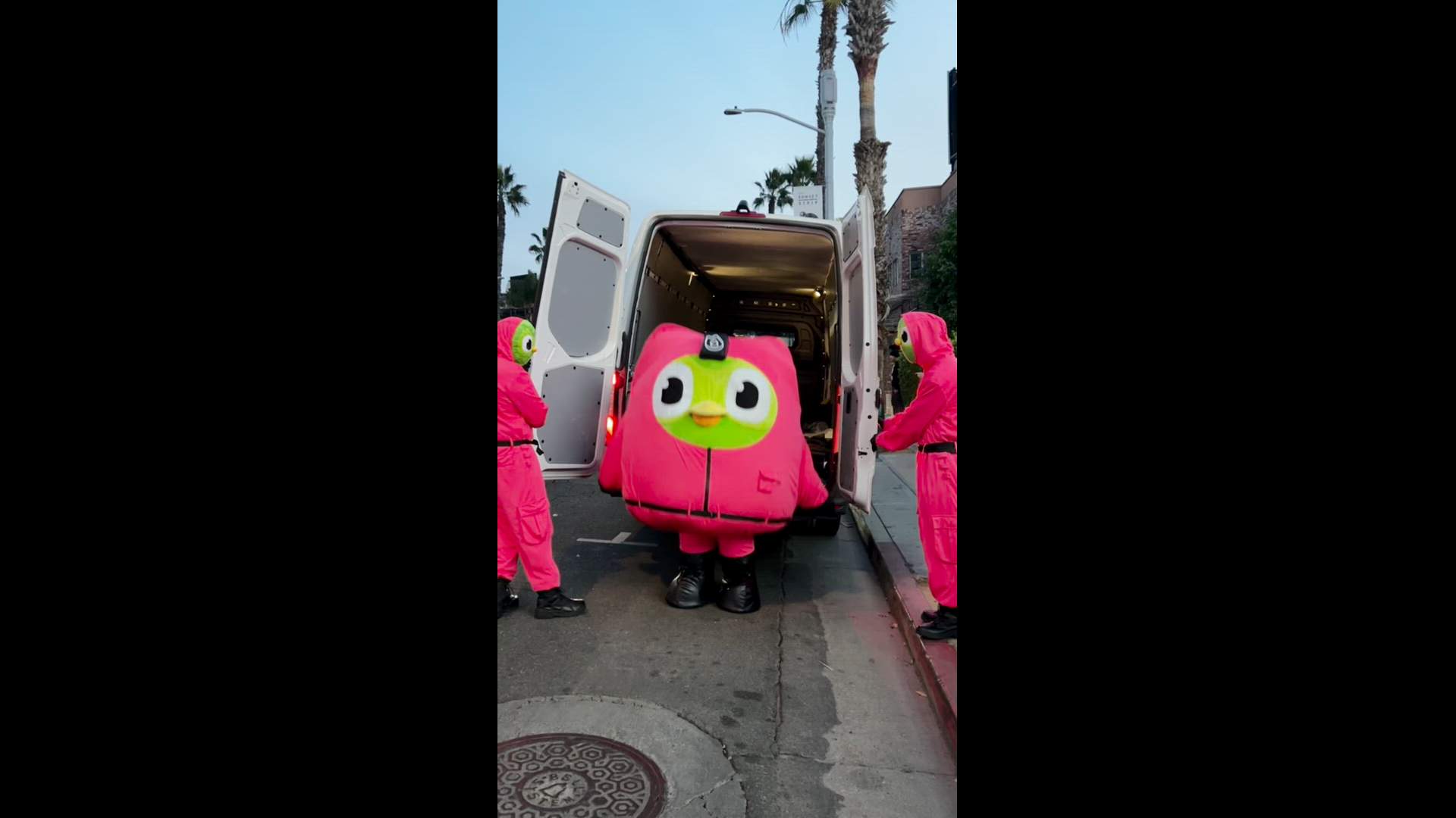 Execution Video