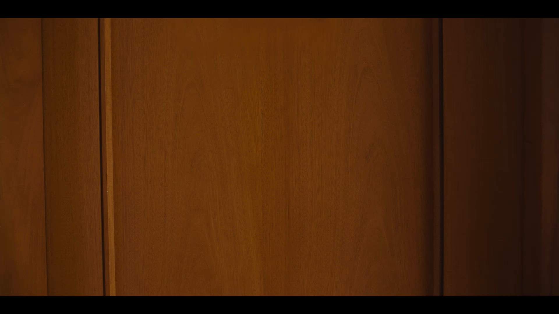 Execution Video