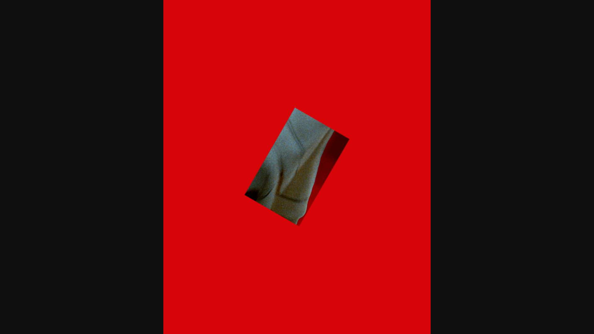 Execution Video