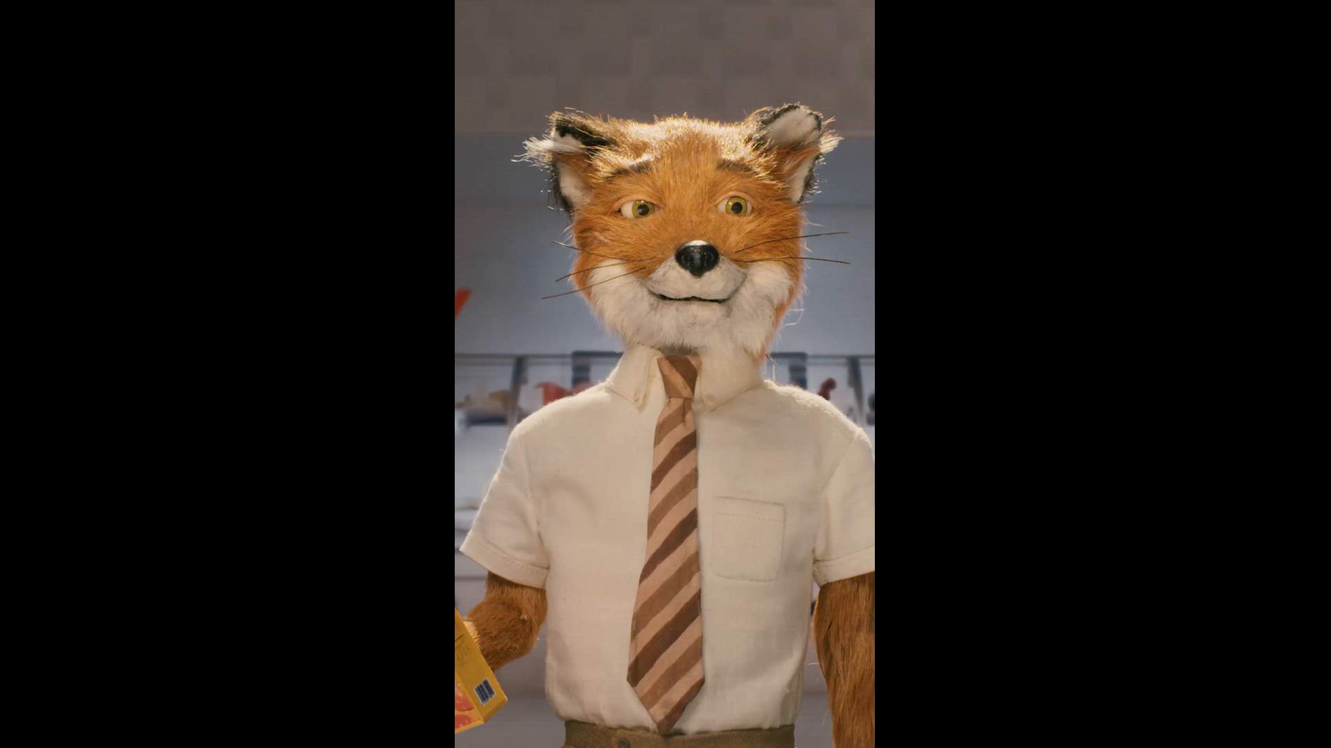 Execution Video
