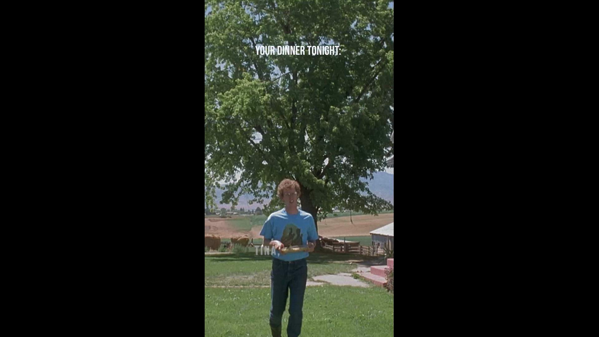 Execution Video