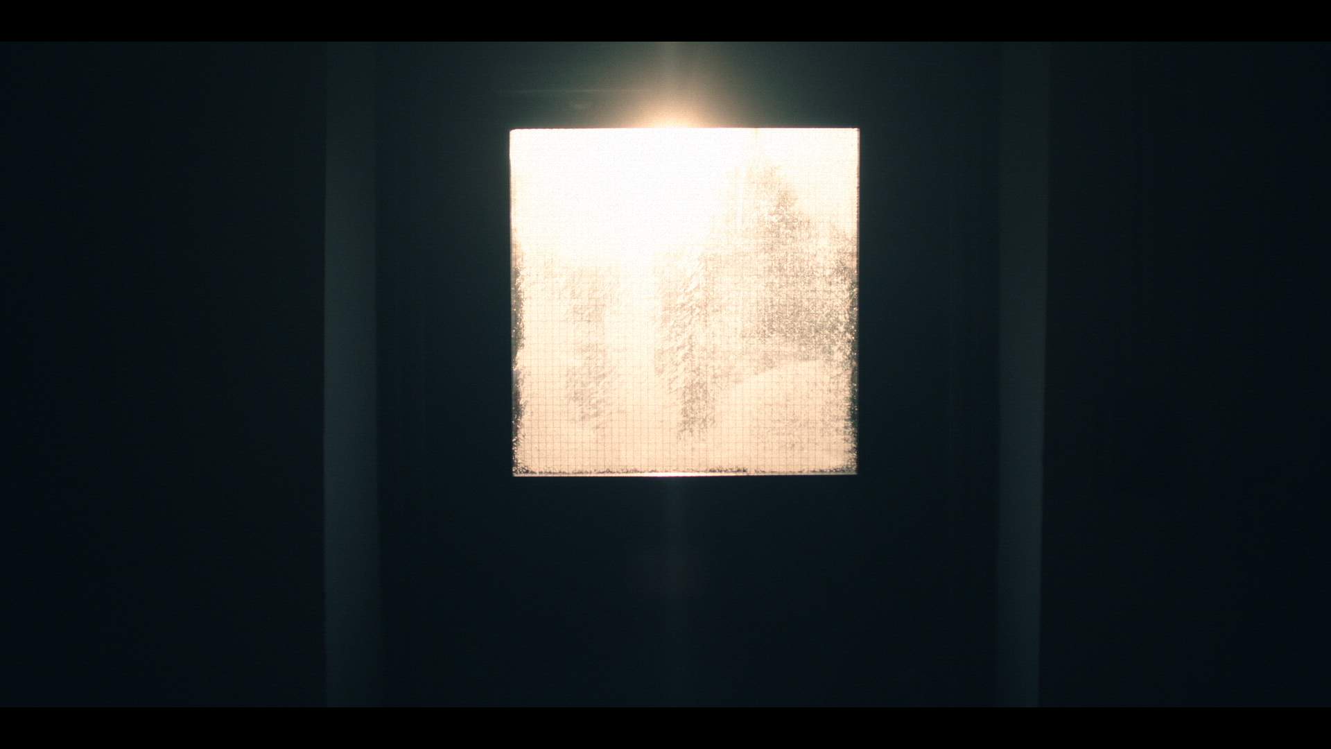Execution Video