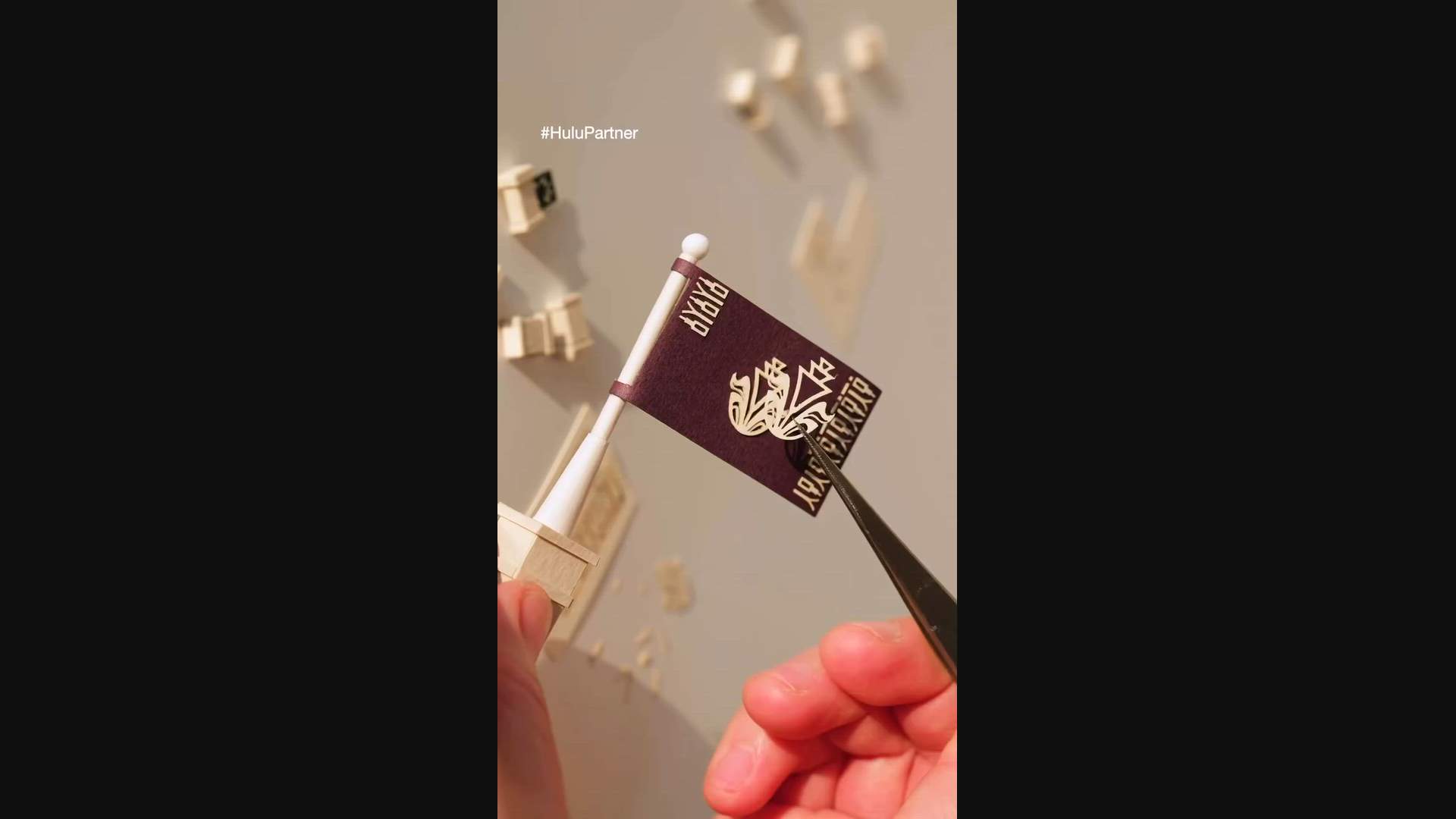 Execution Video