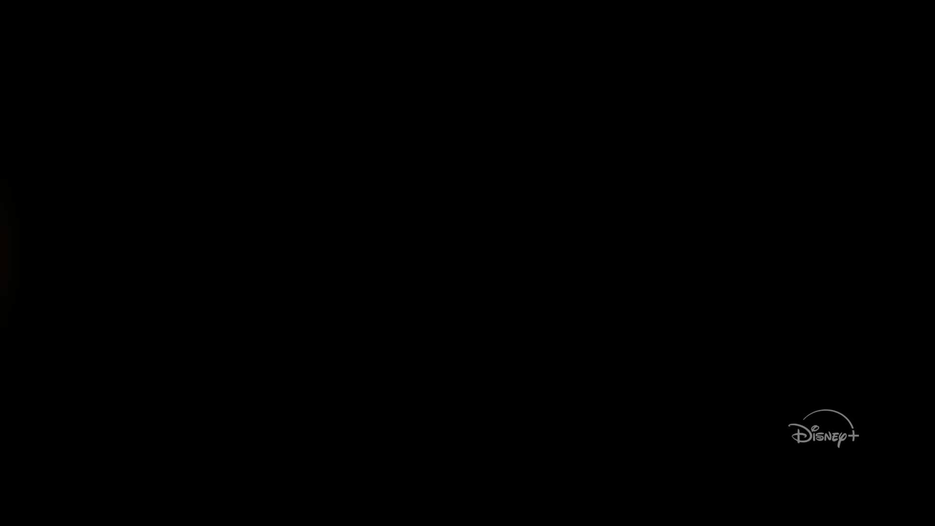 Execution Video