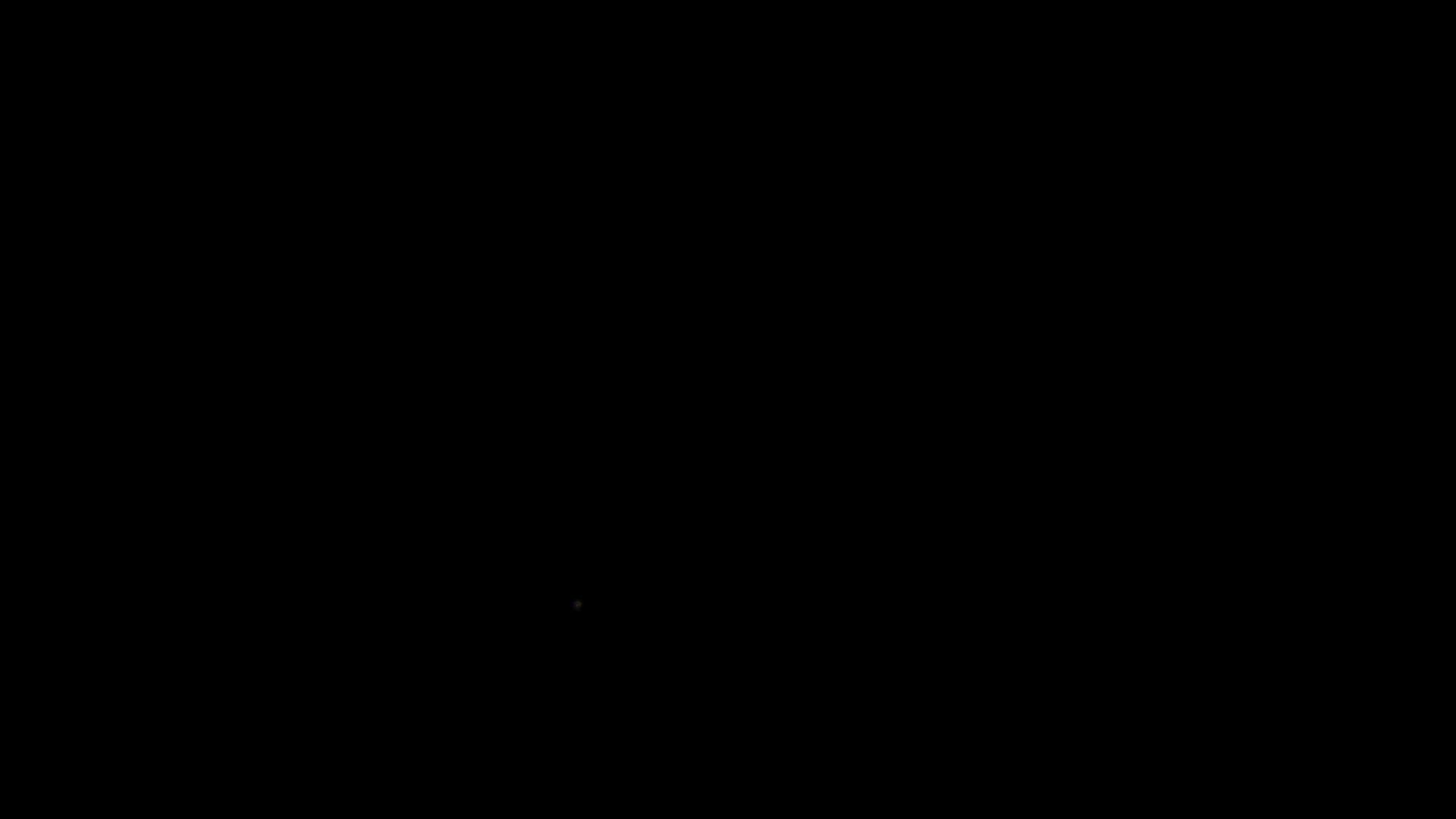 Execution Video